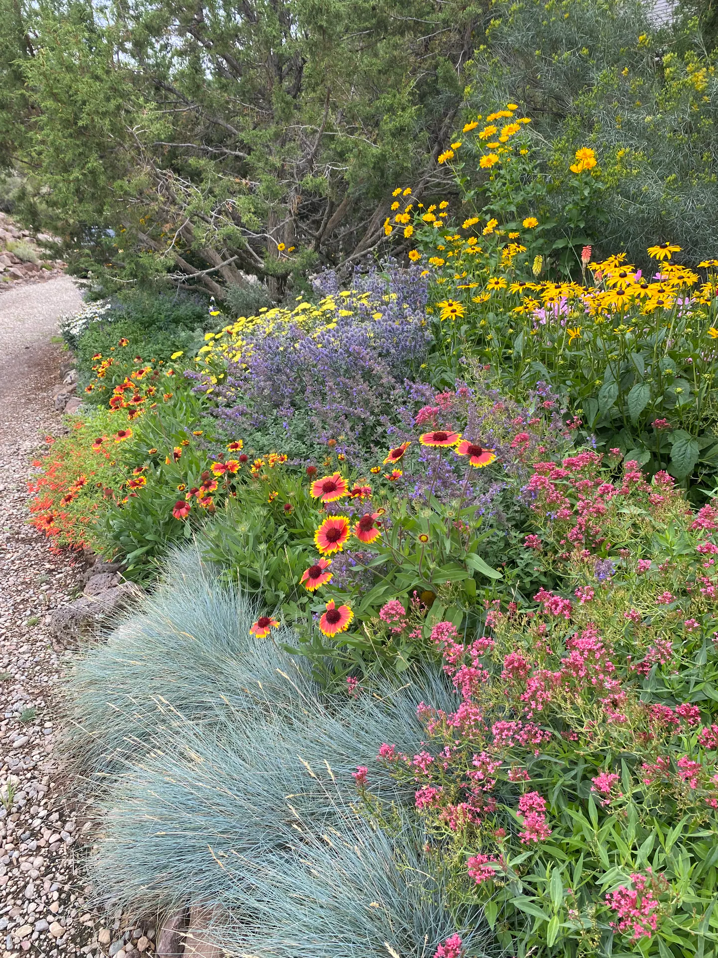 Edge of Abundance — Portfolio, image 7 of 28
