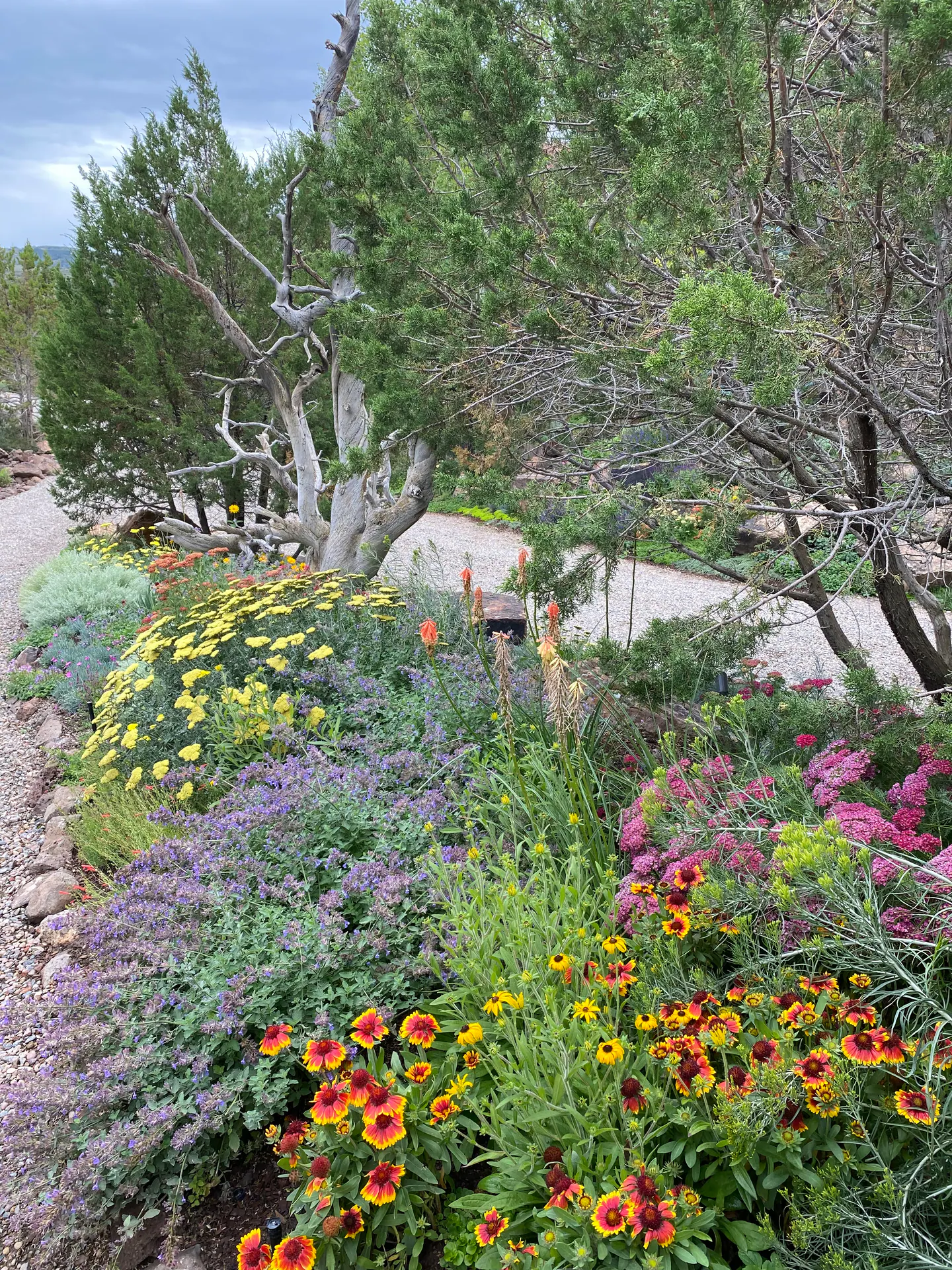 Edge of Abundance — Portfolio, image 9 of 28