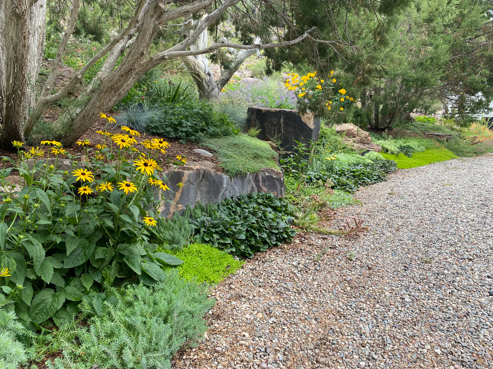 Edge of Abundance — Portfolio, image 13 of 28
