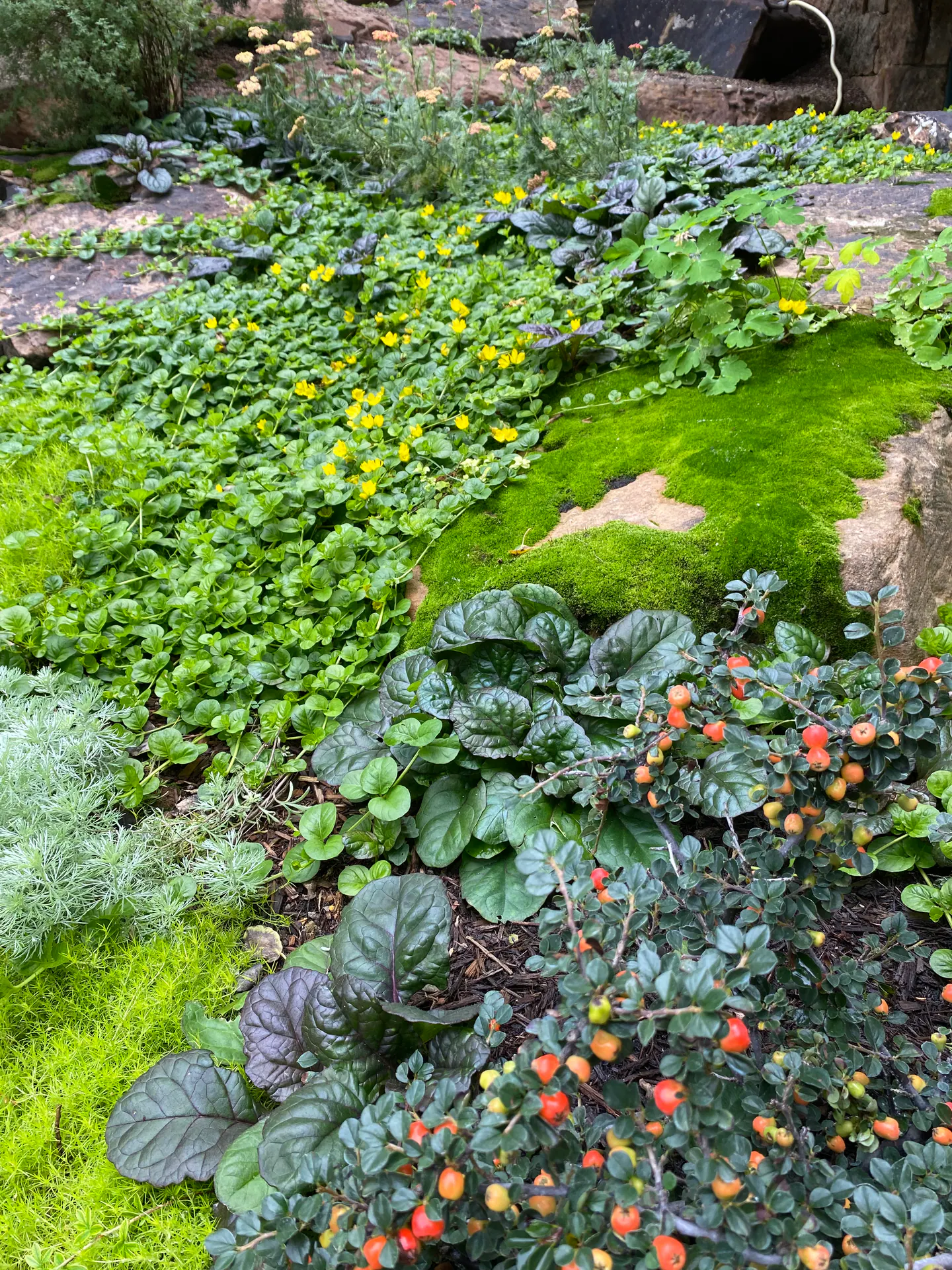 Edge of Abundance — Portfolio, image 14 of 28