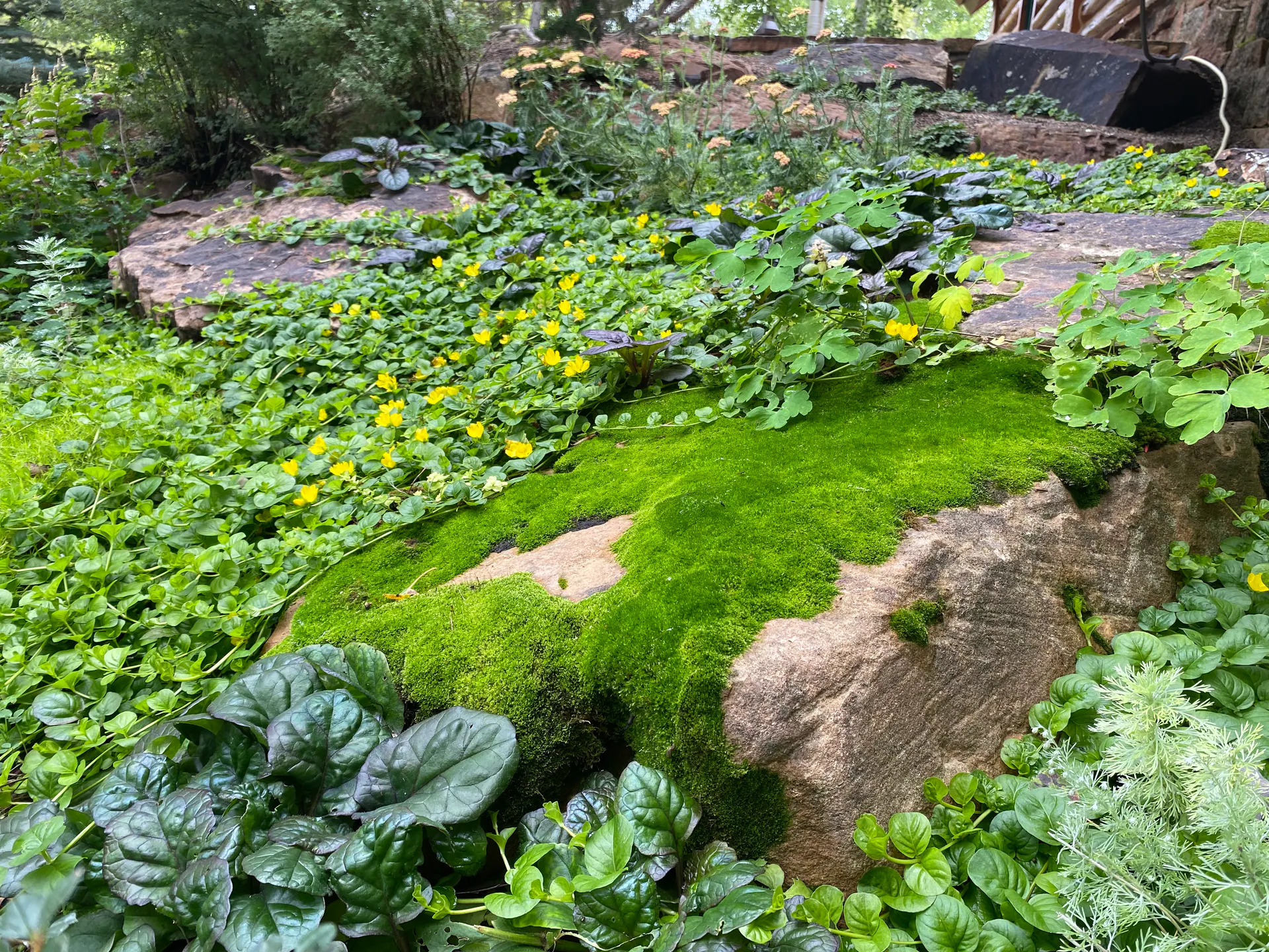 Edge of Abundance — Portfolio, image 19 of 28