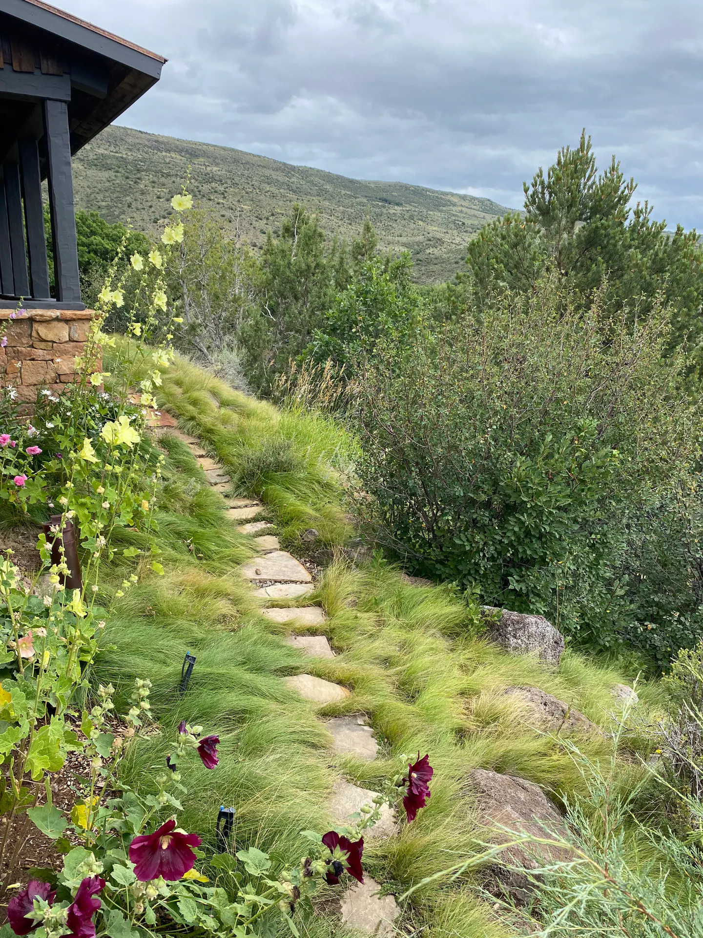Edge of Abundance — Portfolio, image 27 of 28