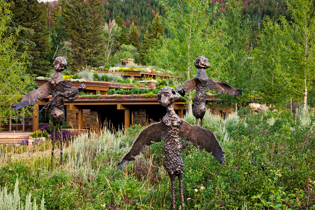 Emergent Meadow — Portfolio, image 3 of 24