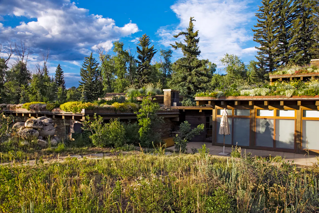 Emergent Meadow — Portfolio, image 4 of 24