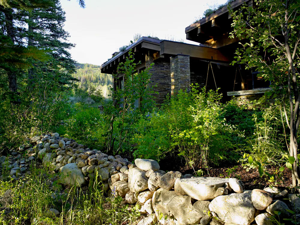 Emergent Meadow — Portfolio, image 7 of 24