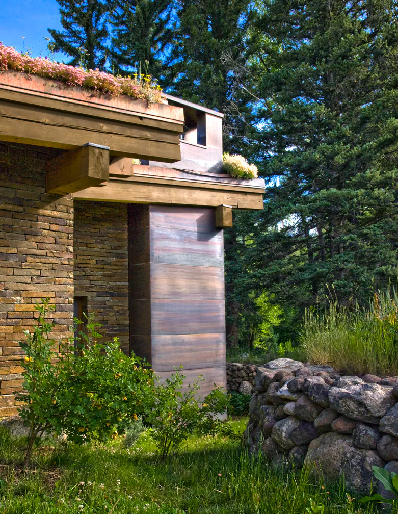 Emergent Meadow — Portfolio, image 9 of 24