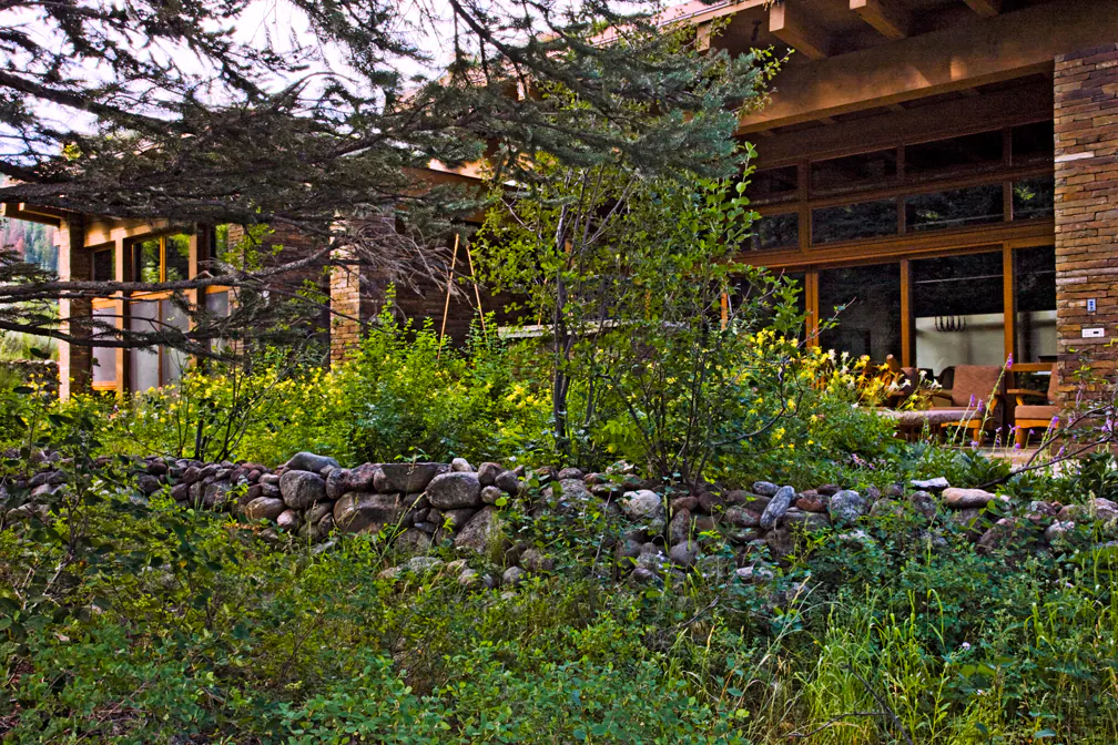 Emergent Meadow — Portfolio, image 11 of 24