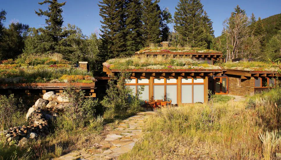 Emergent Meadow — Portfolio, image 15 of 24