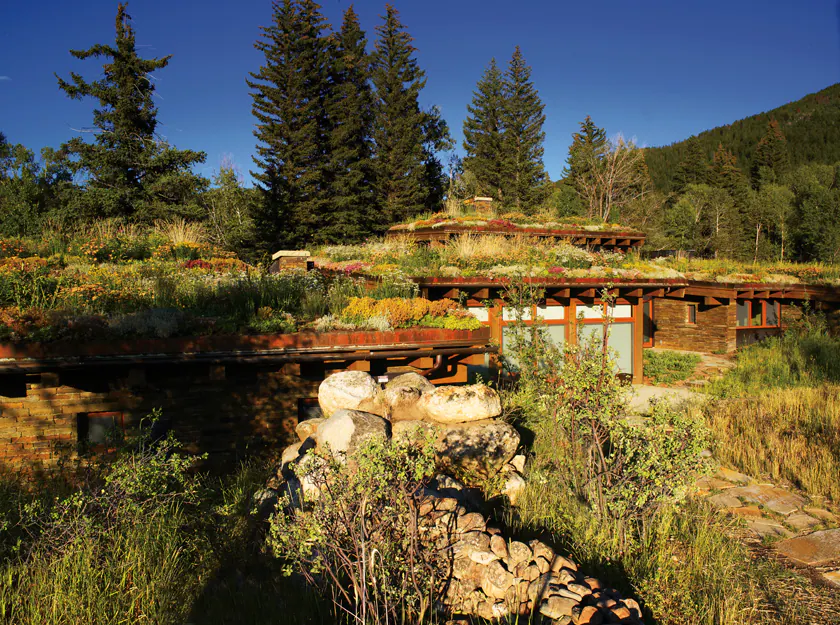 Emergent Meadow — Portfolio, image 16 of 24