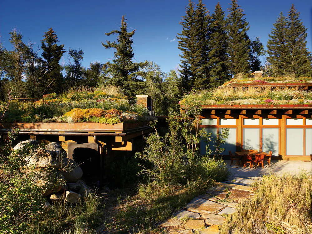 Emergent Meadow — Portfolio, image 17 of 24