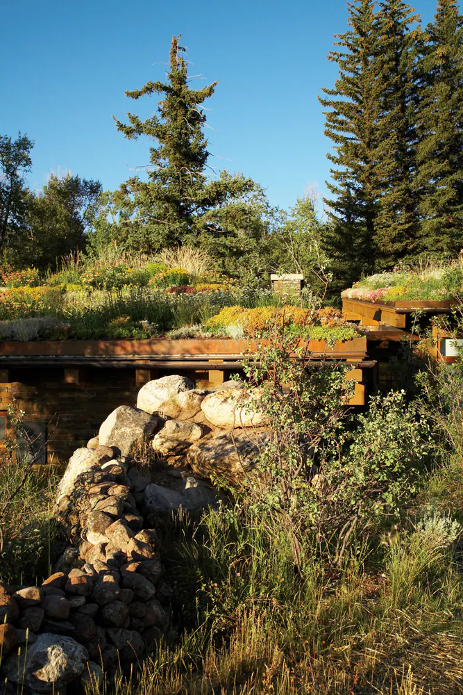 Emergent Meadow — Portfolio, image 18 of 24