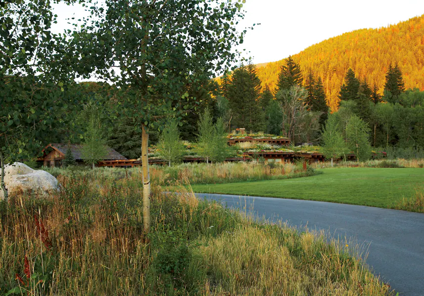 Emergent Meadow — Portfolio, image 20 of 24