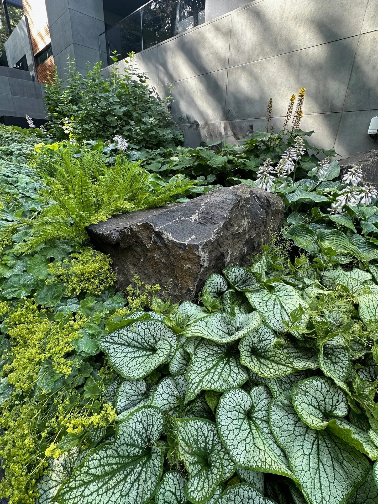 After — image 4 of 19