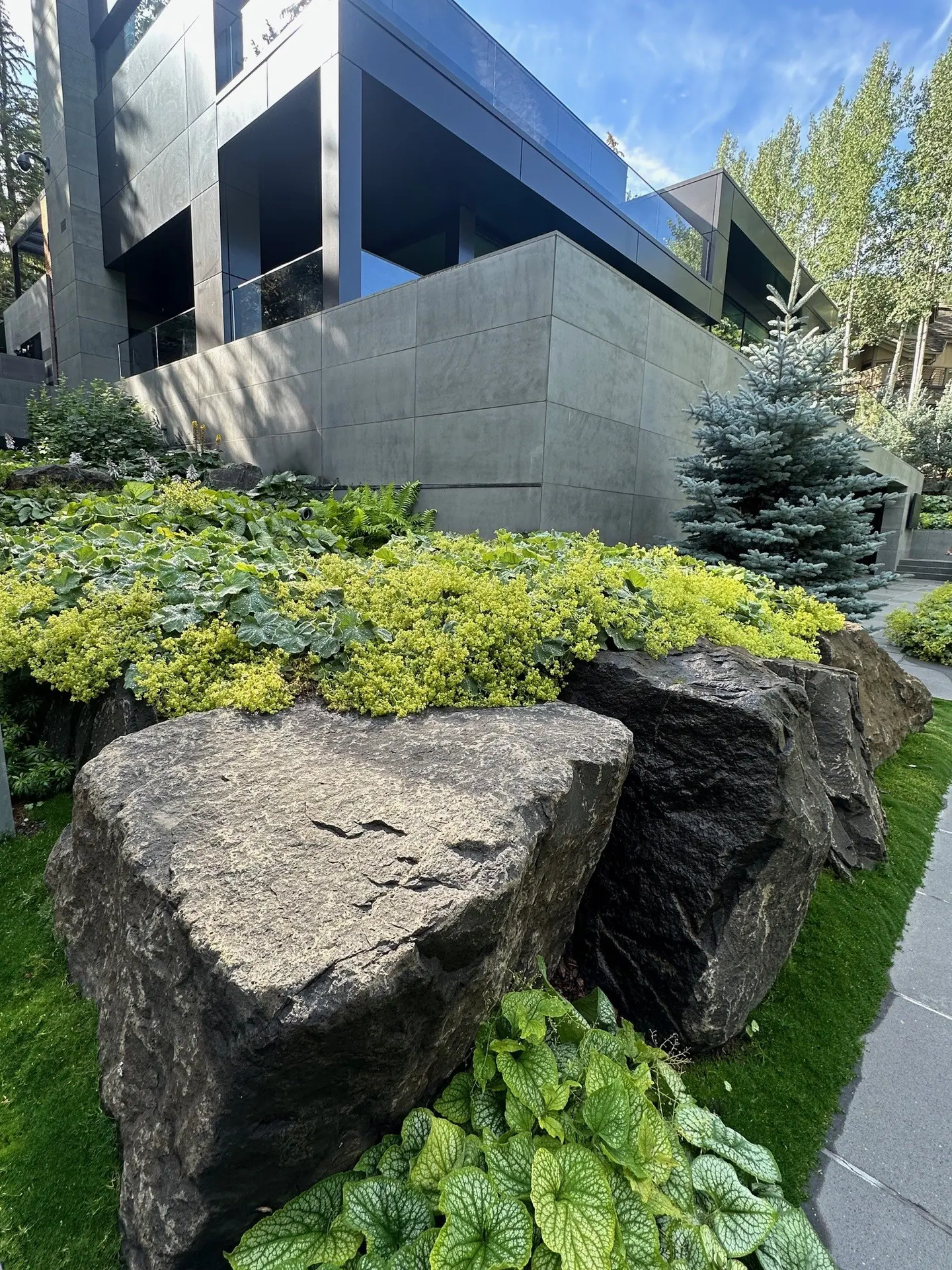 After — image 7 of 19
