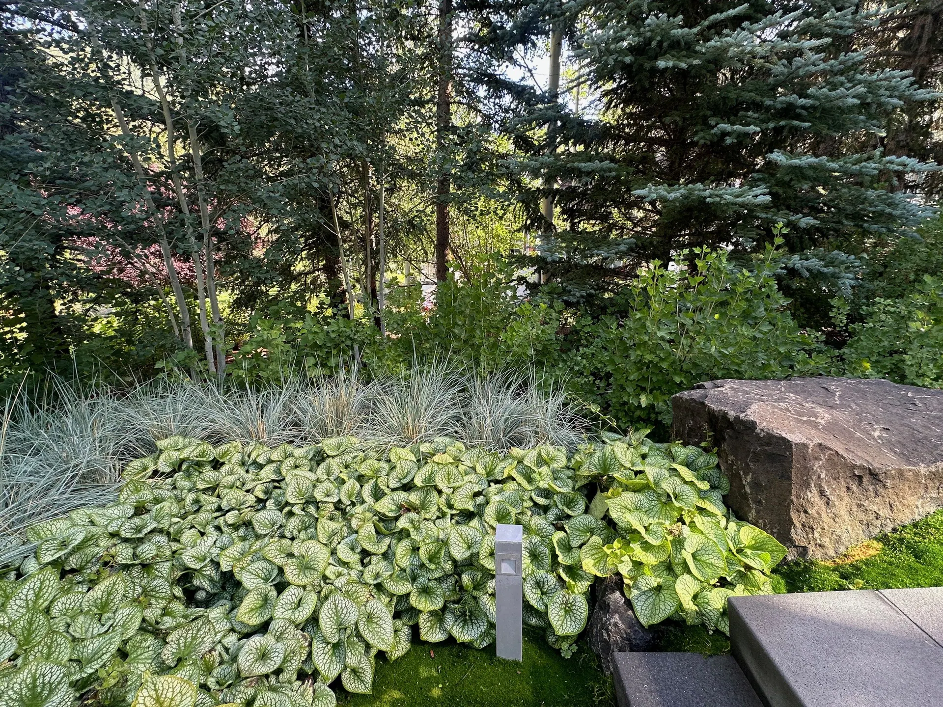 After — image 8 of 19