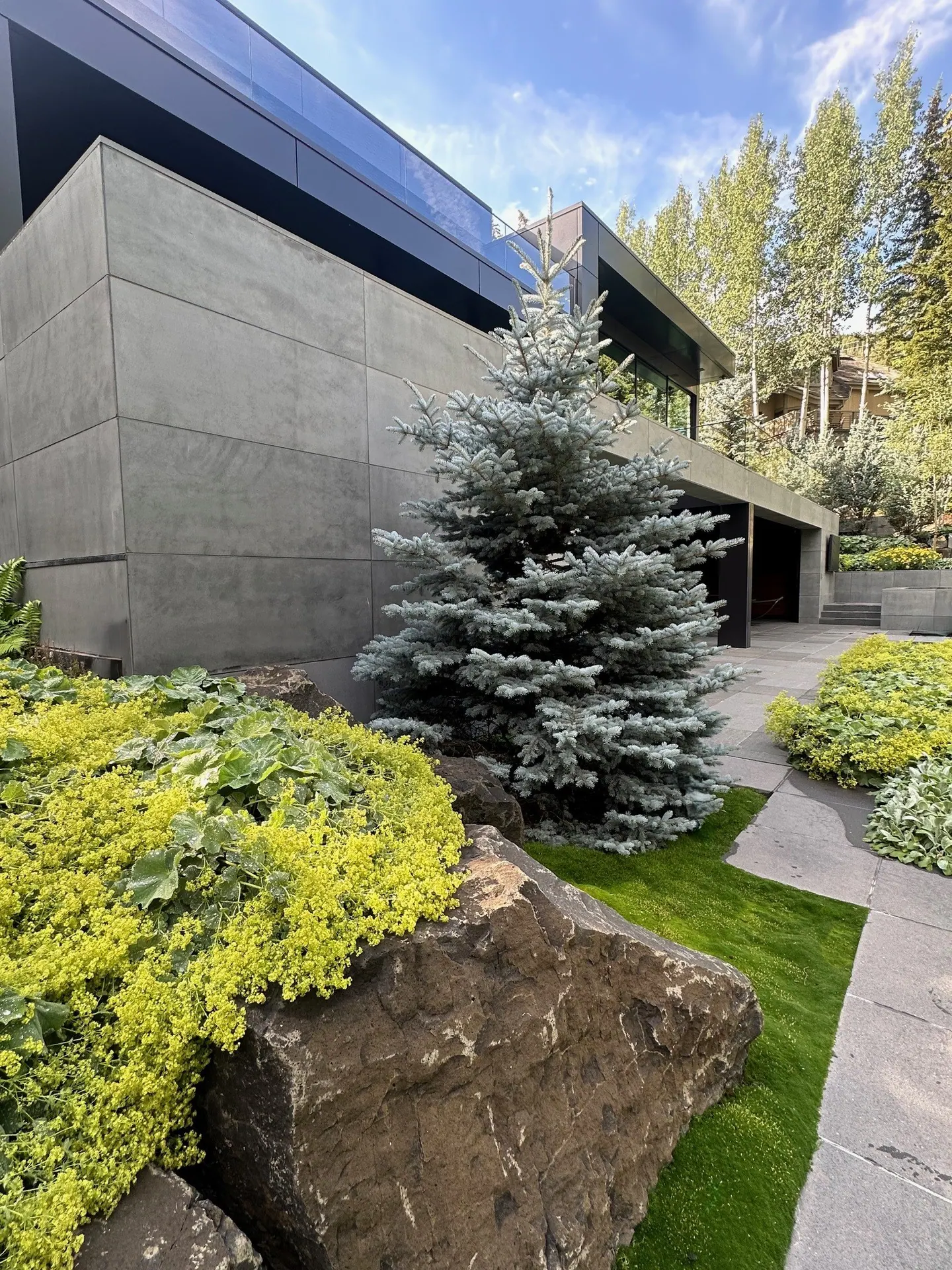 After — image 9 of 19