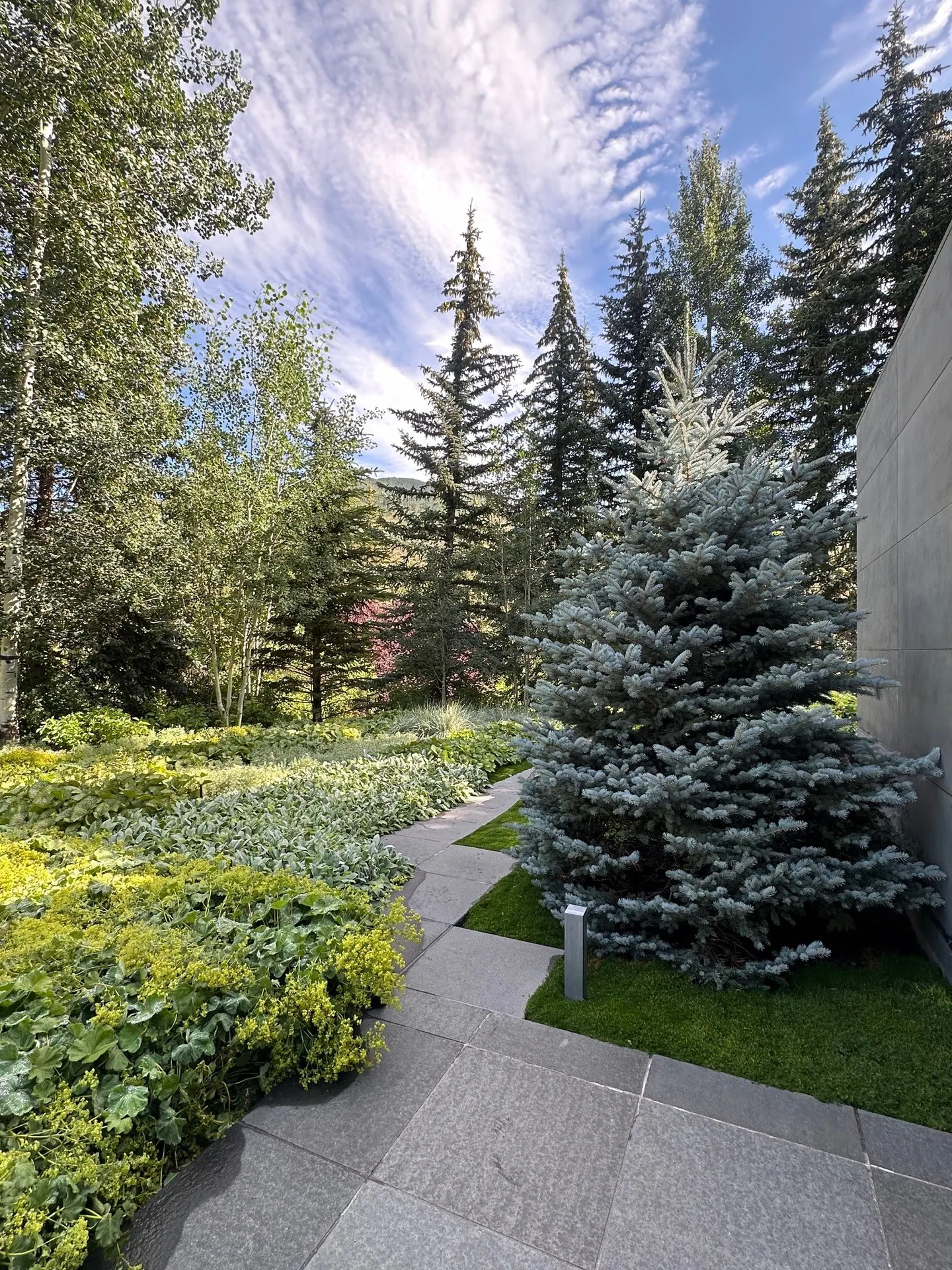 After — image 11 of 19
