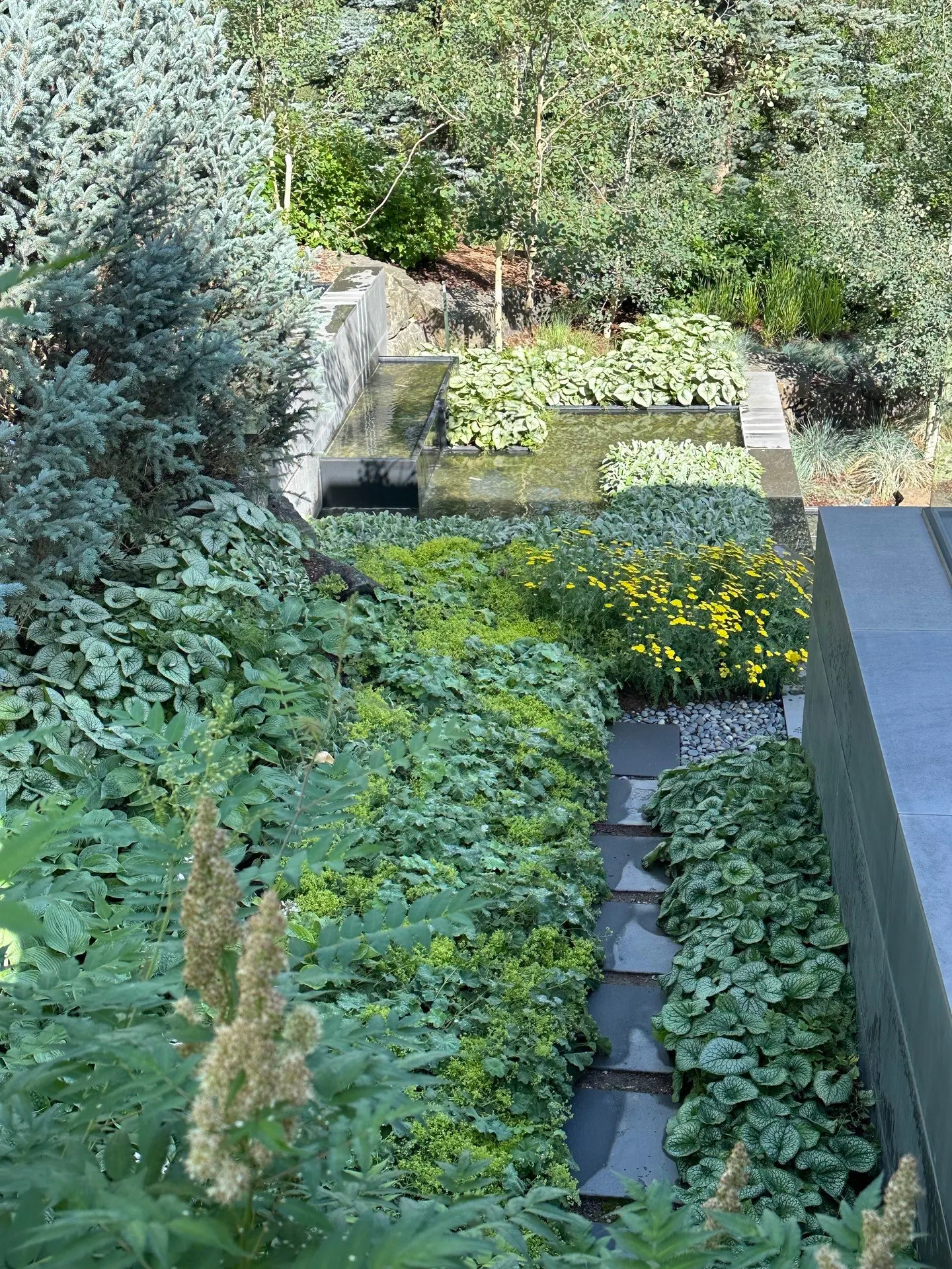 After — image 14 of 19