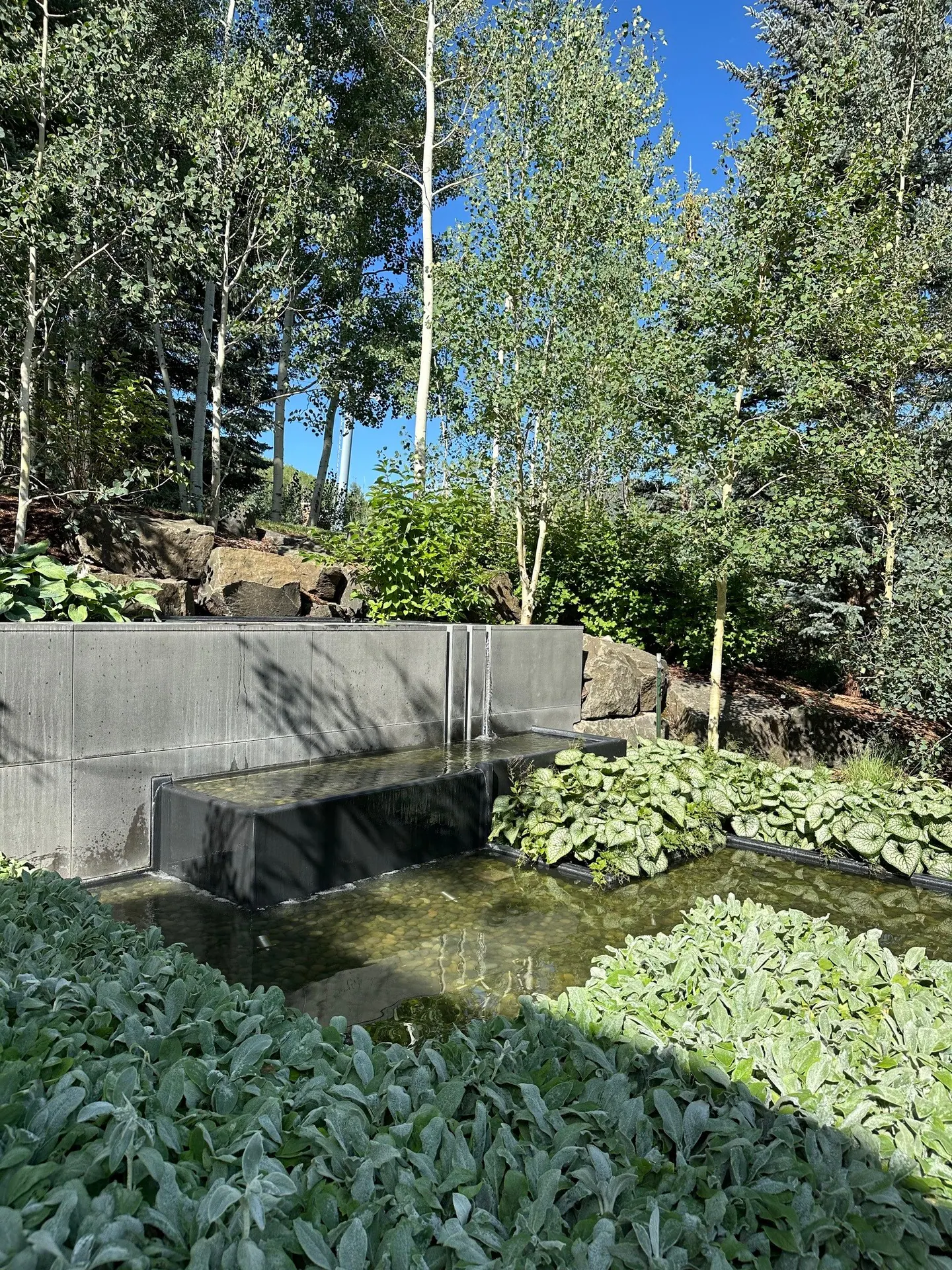 After — image 16 of 19