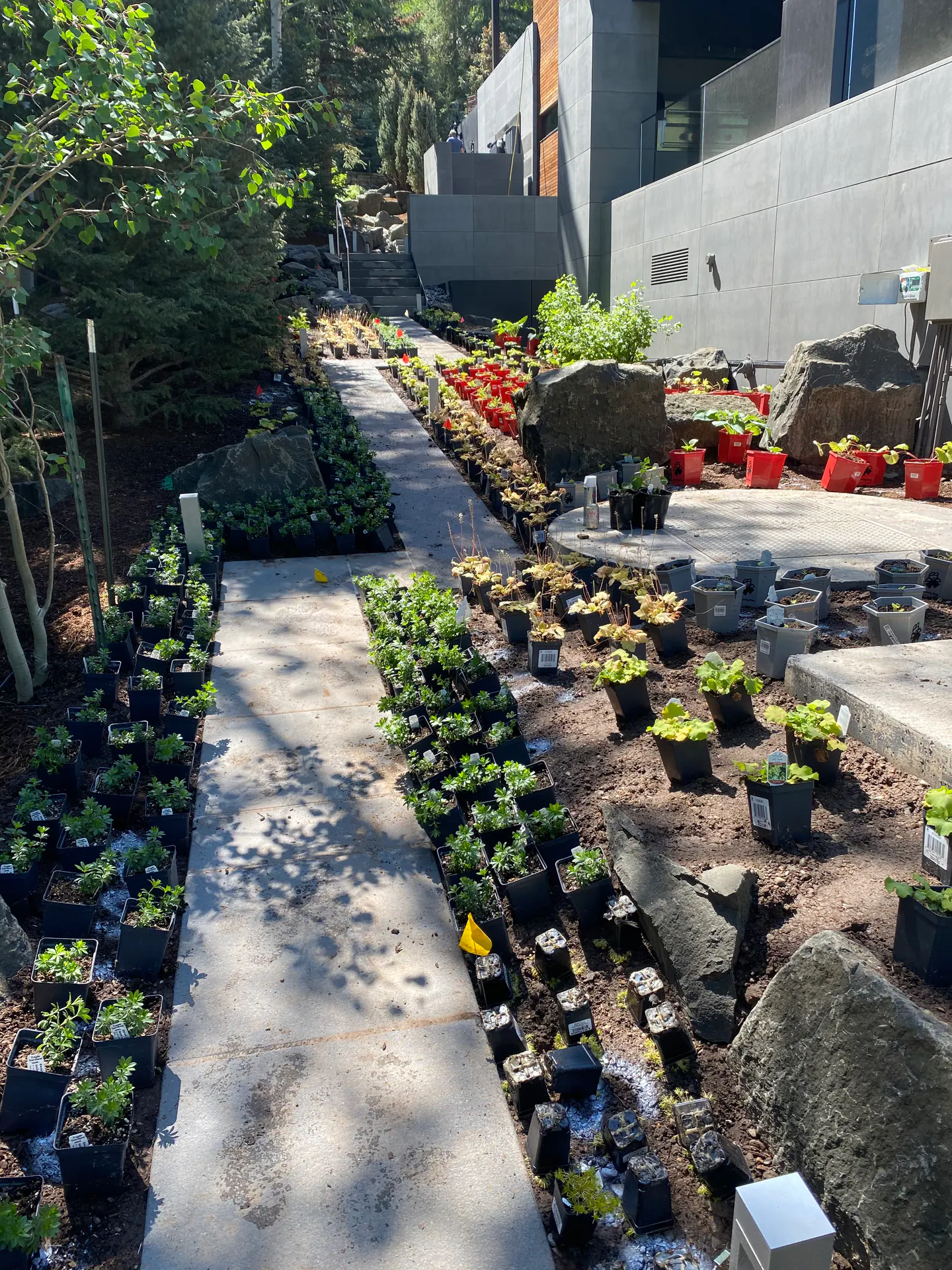 After — image 19 of 19