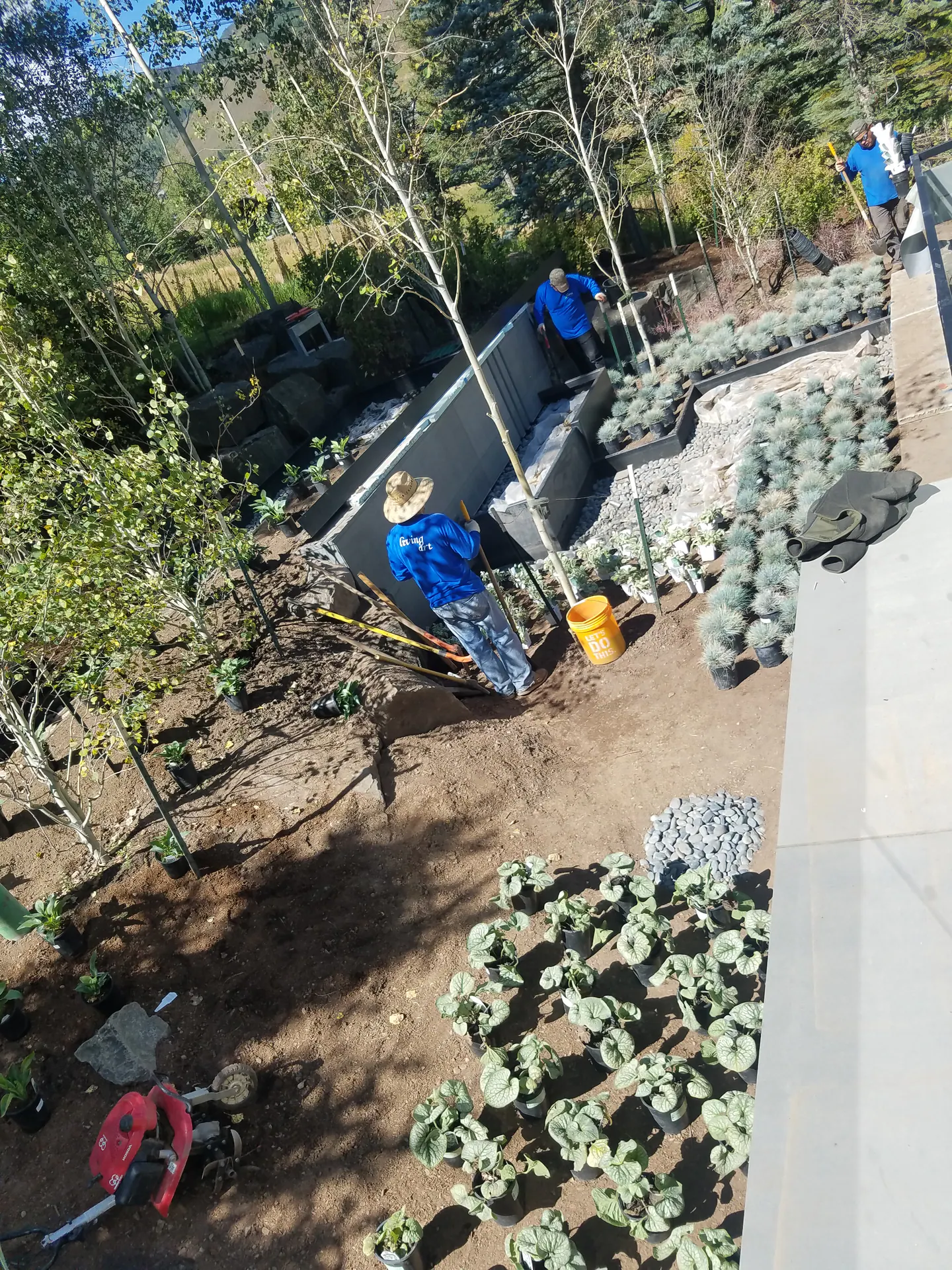 In process — image 6 of 12