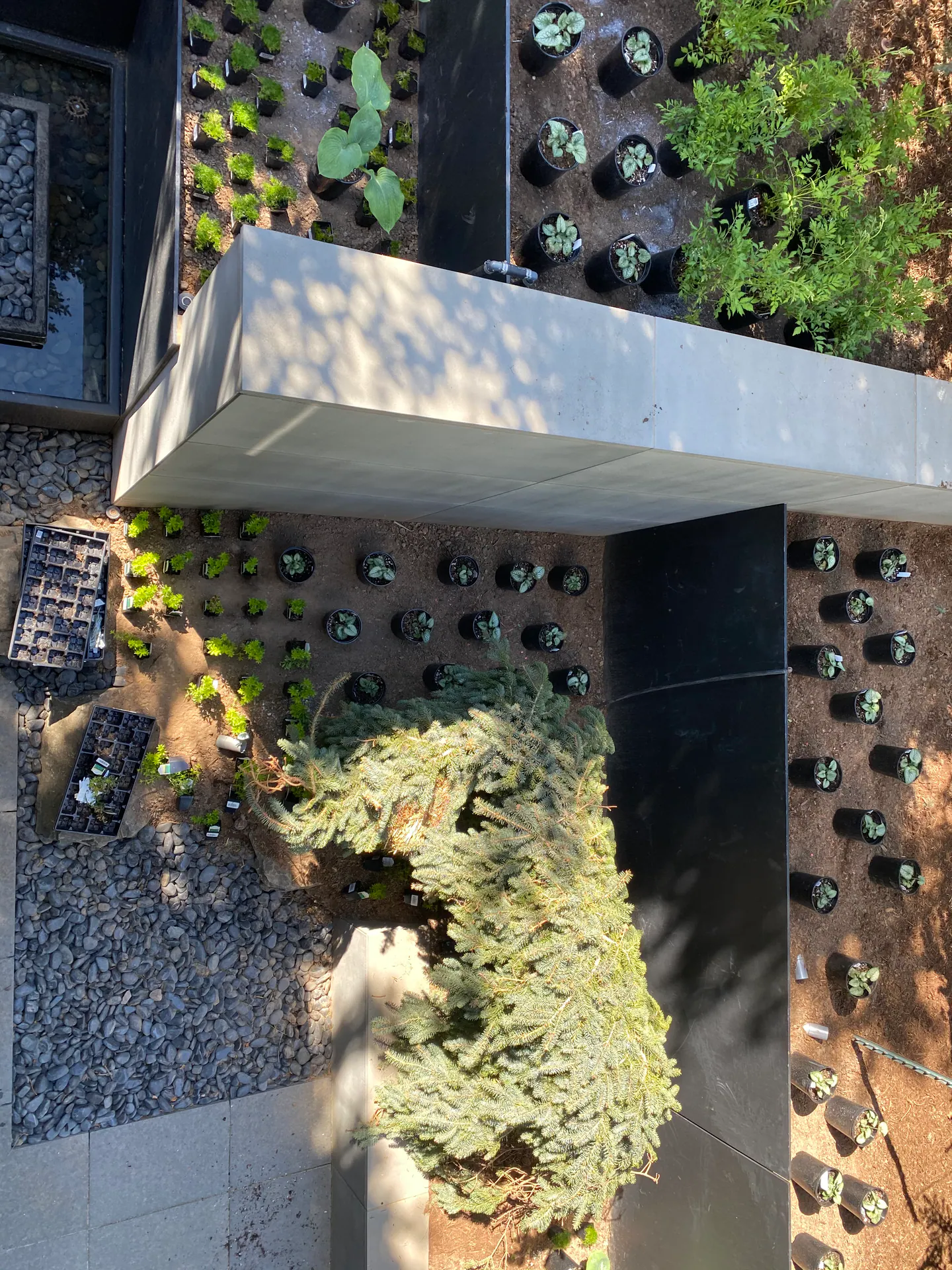 In process — image 12 of 12