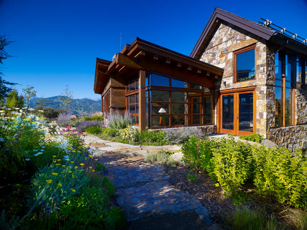 Trees, grasses, and long views across a high-desert landscape — portfolio project Copses
