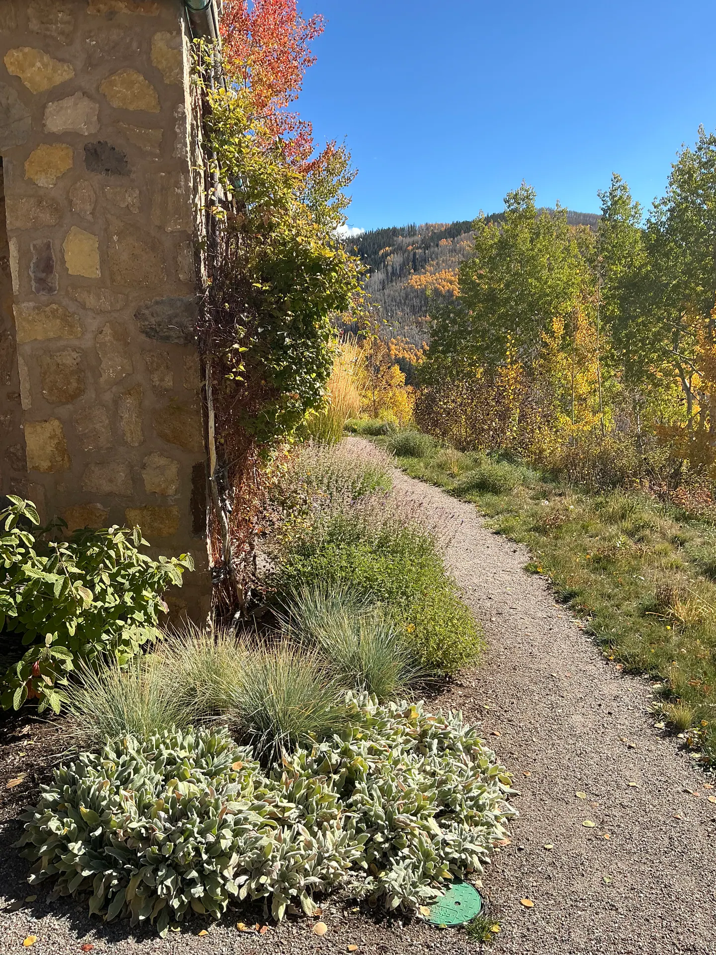 After — image 1 of 9