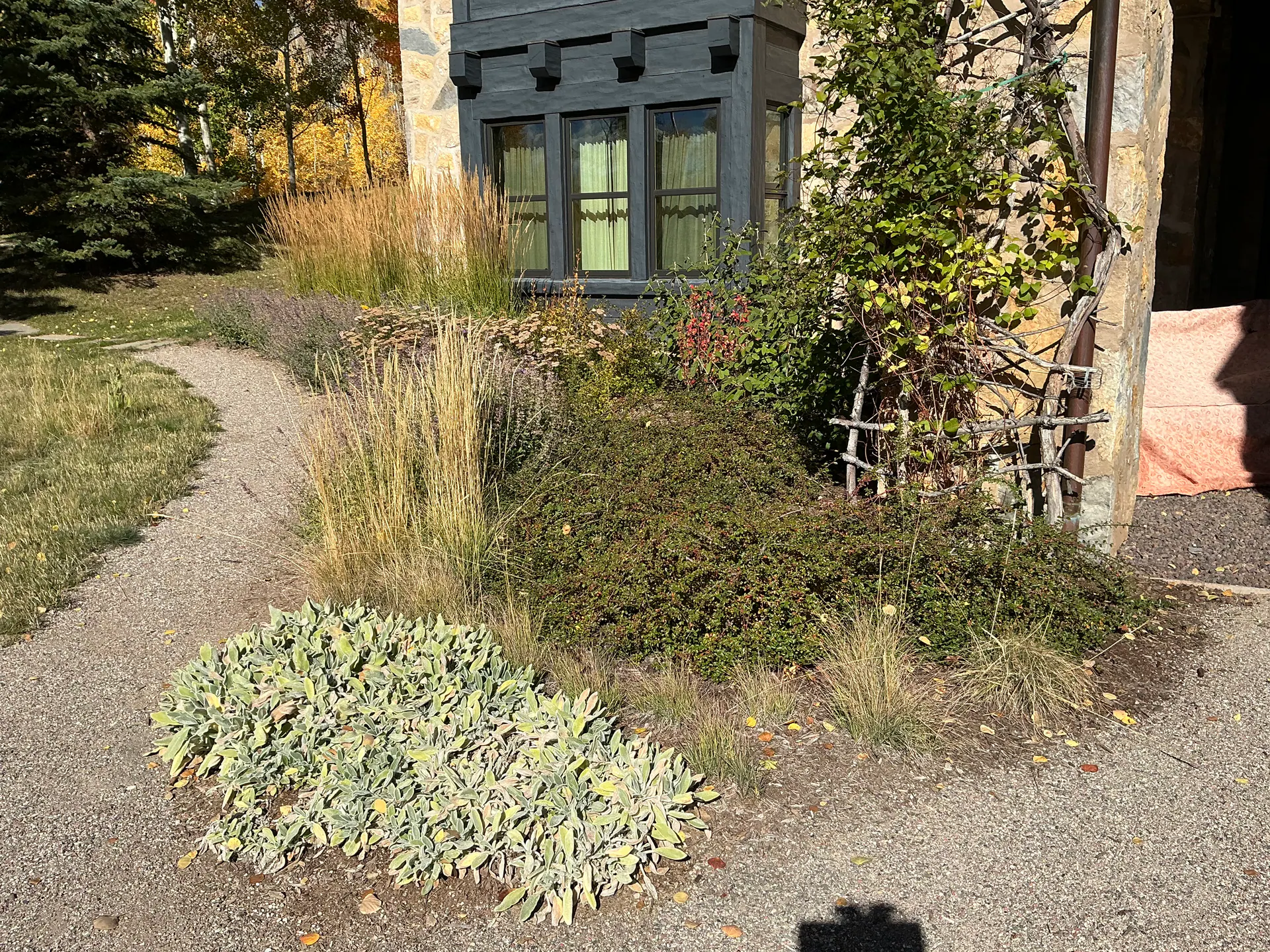 After — image 3 of 9