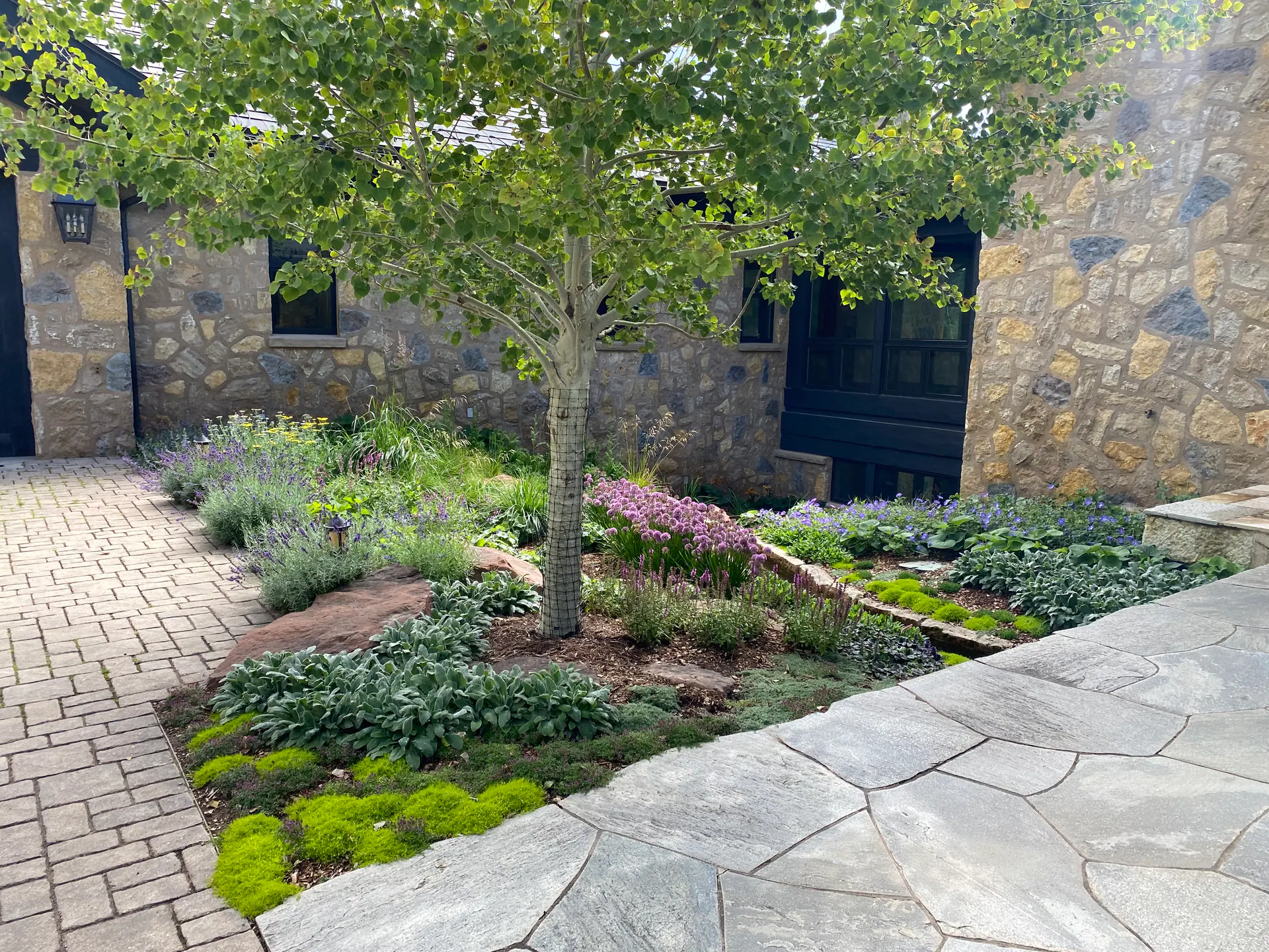 After — image 6 of 9