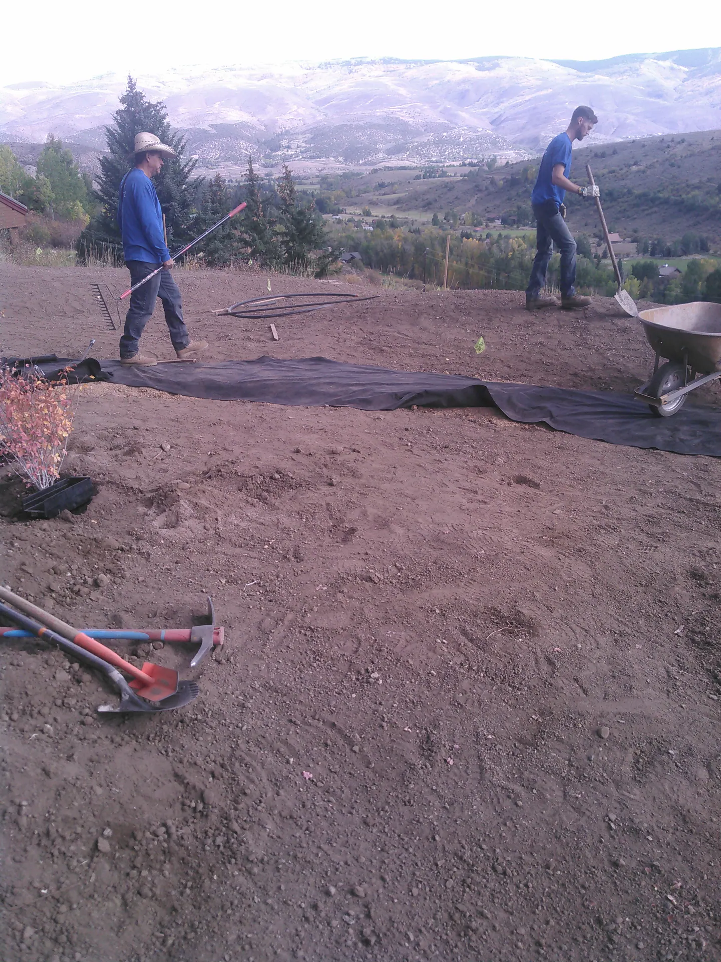 In process — image 9 of 12