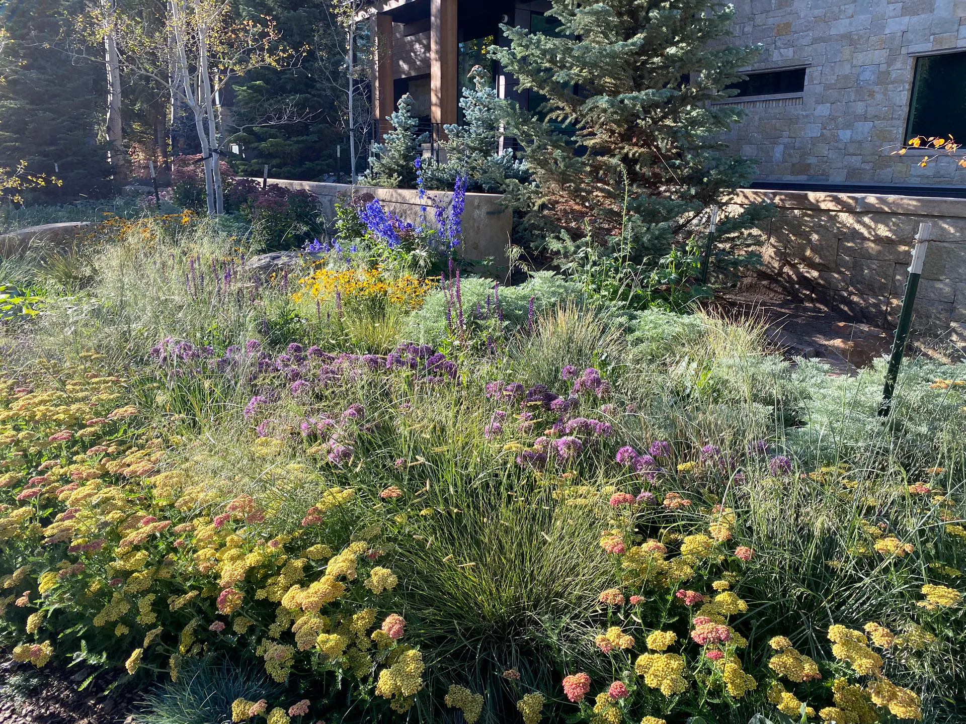 Painterly Ground — Portfolio, image 3 of 16