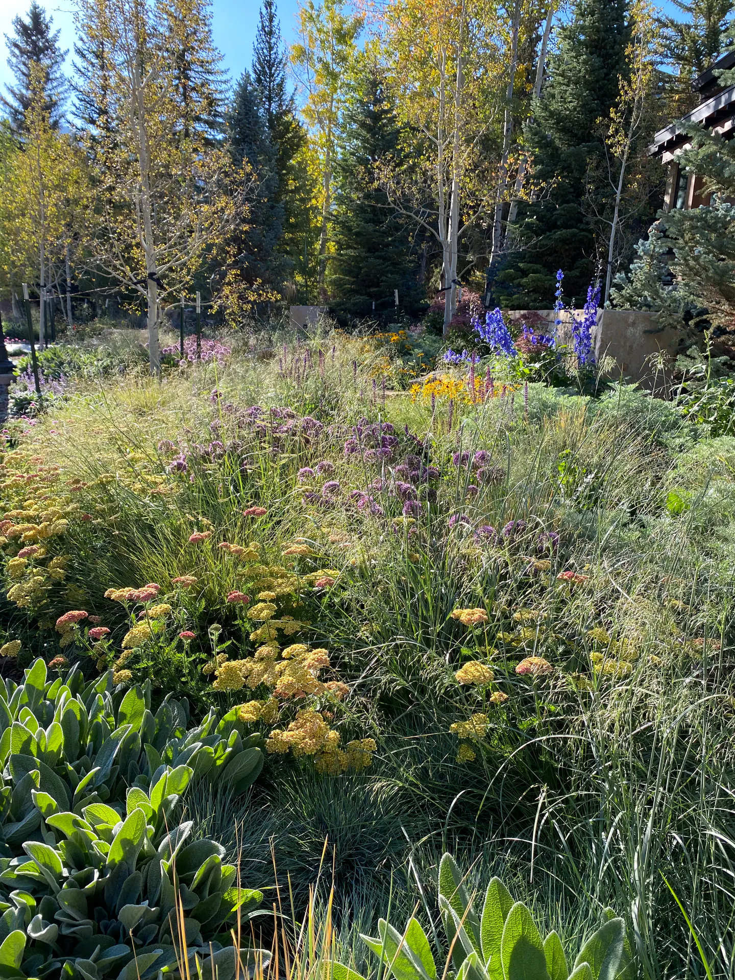 Painterly Ground — Portfolio, image 4 of 16