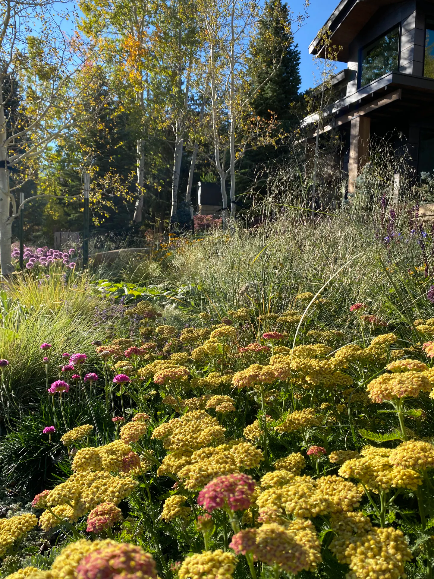 Painterly Ground — Portfolio, image 6 of 16
