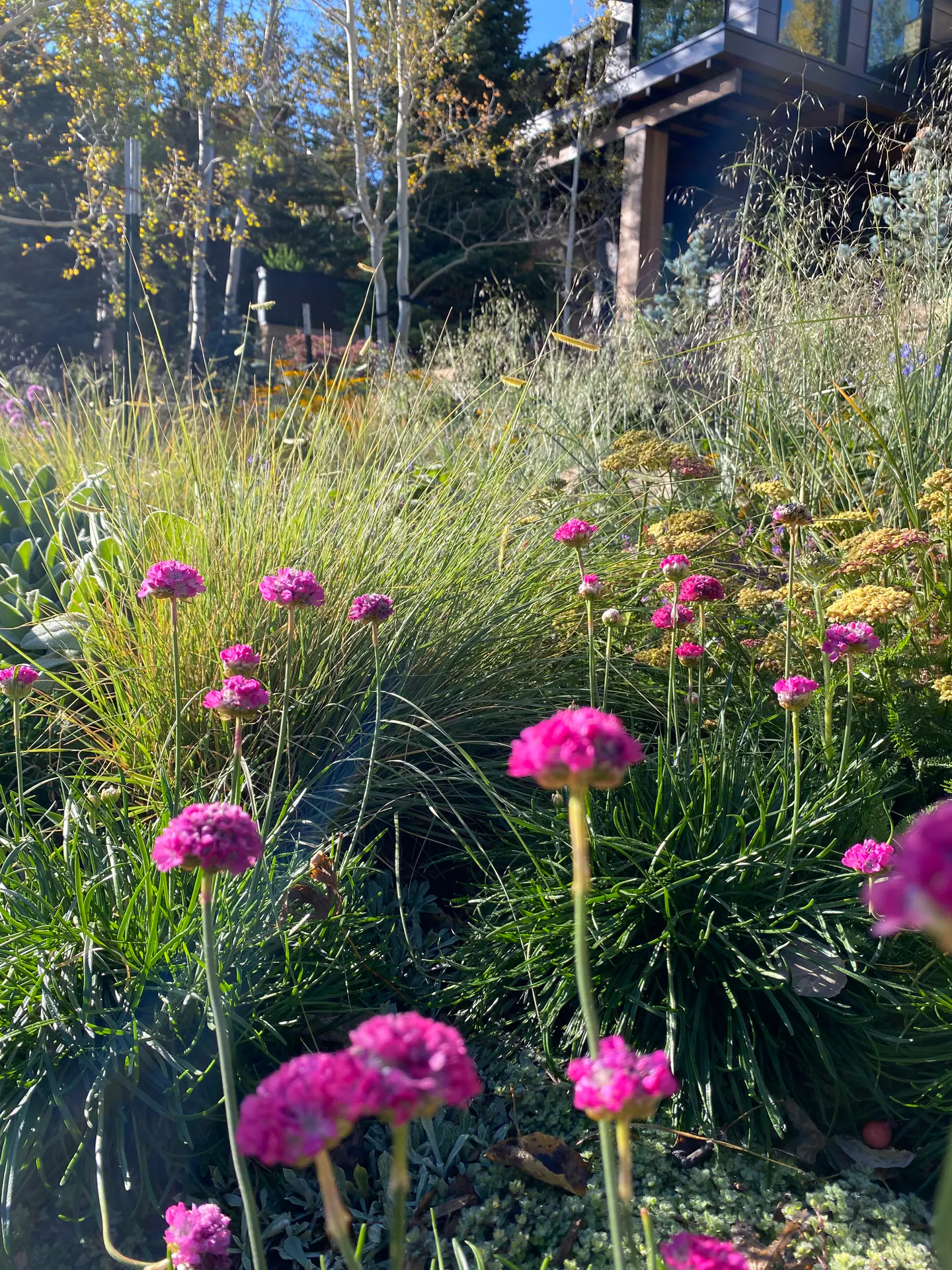 Painterly Ground — Portfolio, image 7 of 16