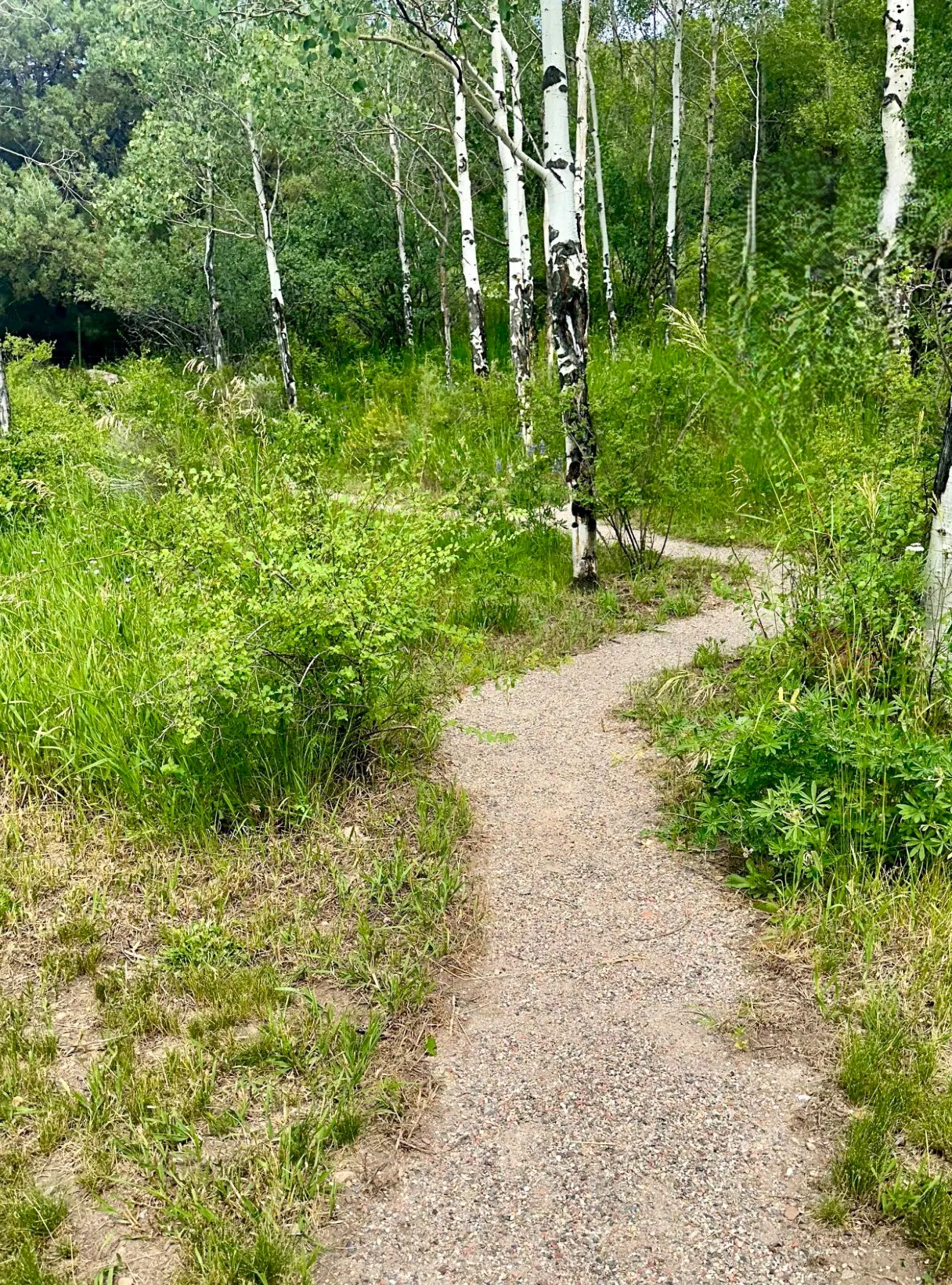 Pasture & Play — Portfolio, image 12 of 17