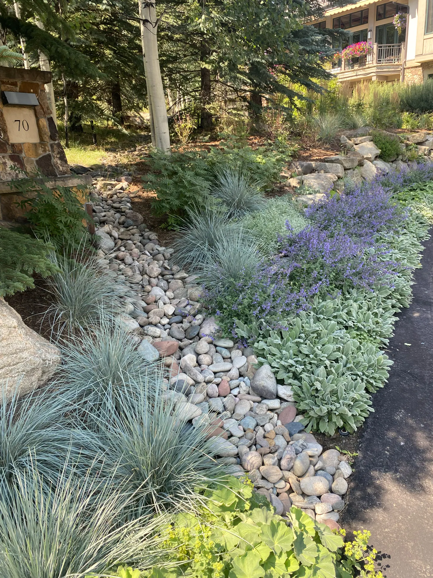 After — image 2 of 3