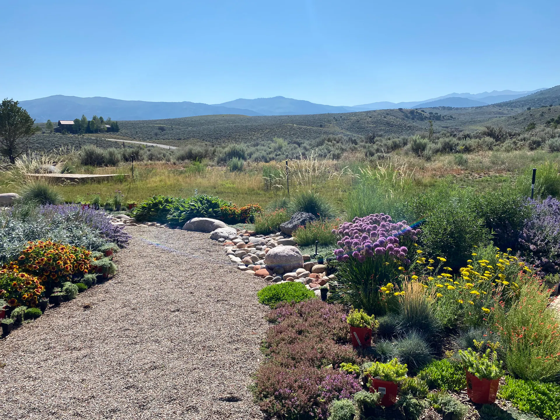 Ridge Reset — Portfolio, image 9 of 9