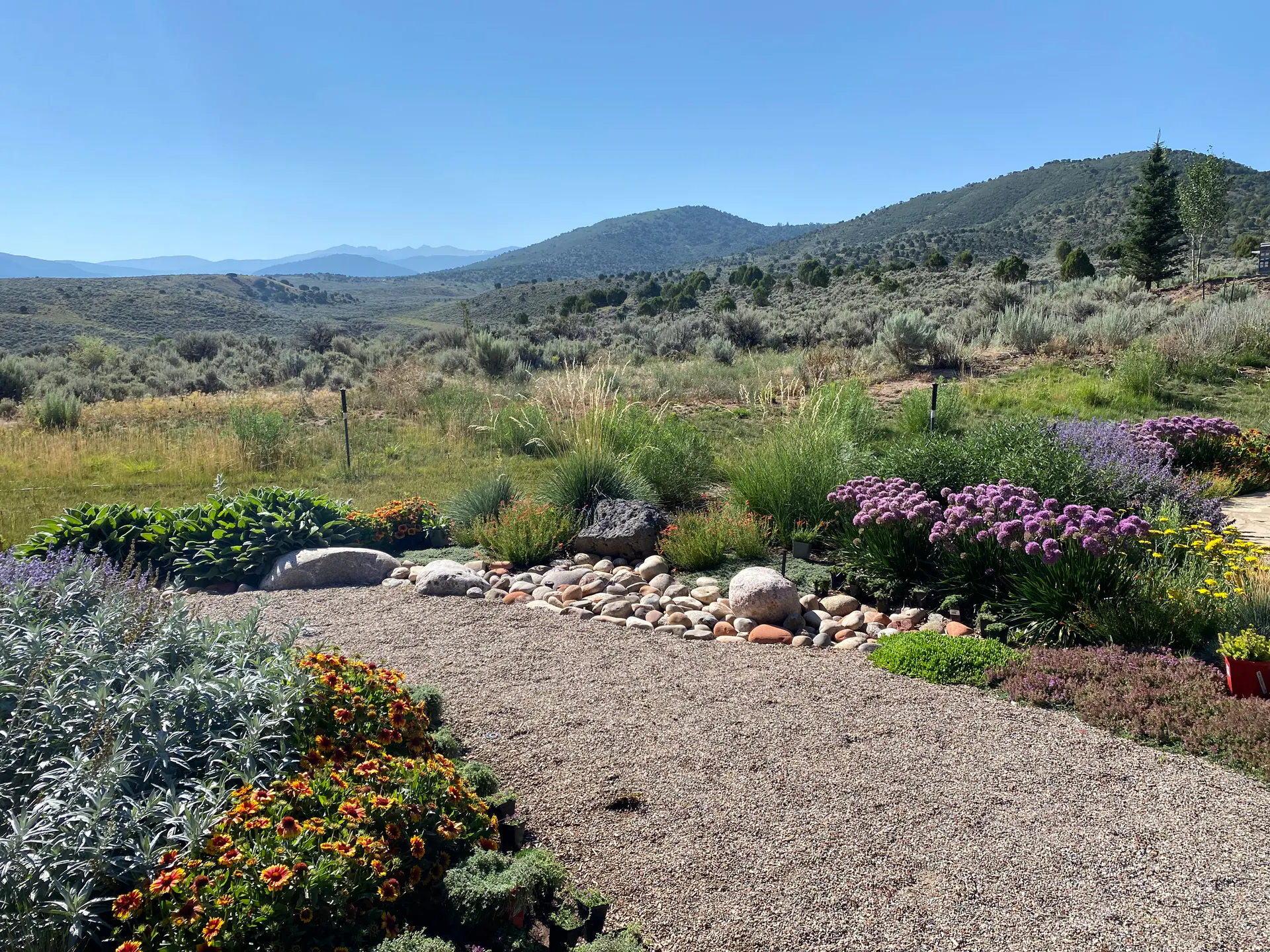 Ridge Reset — Ceres Landcare portfolio project