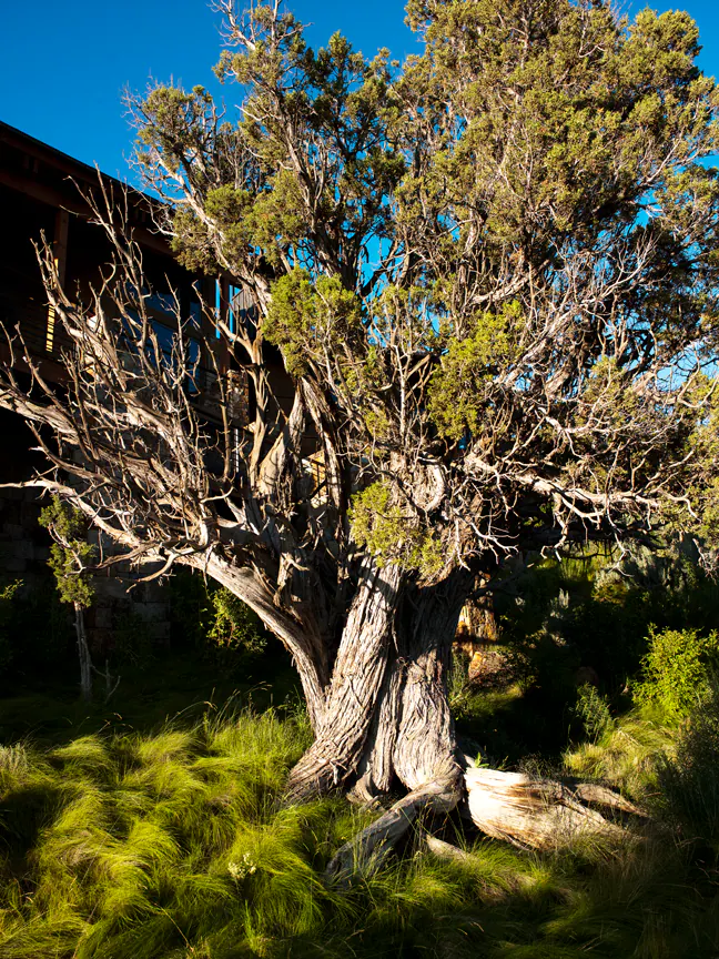 Tempered Ground — Portfolio, image 10 of 12