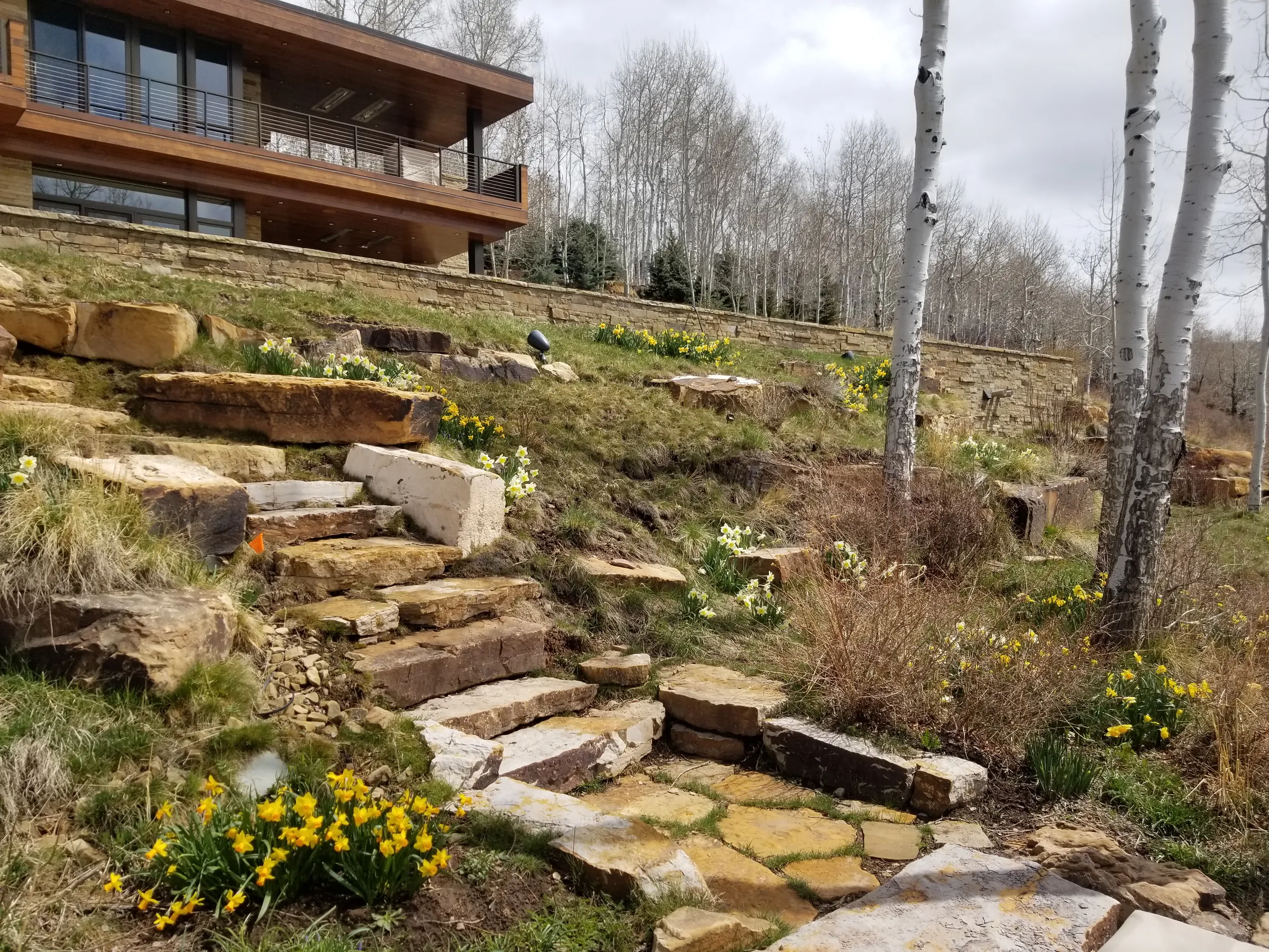 Terraced Horizon — Portfolio, image 11 of 15