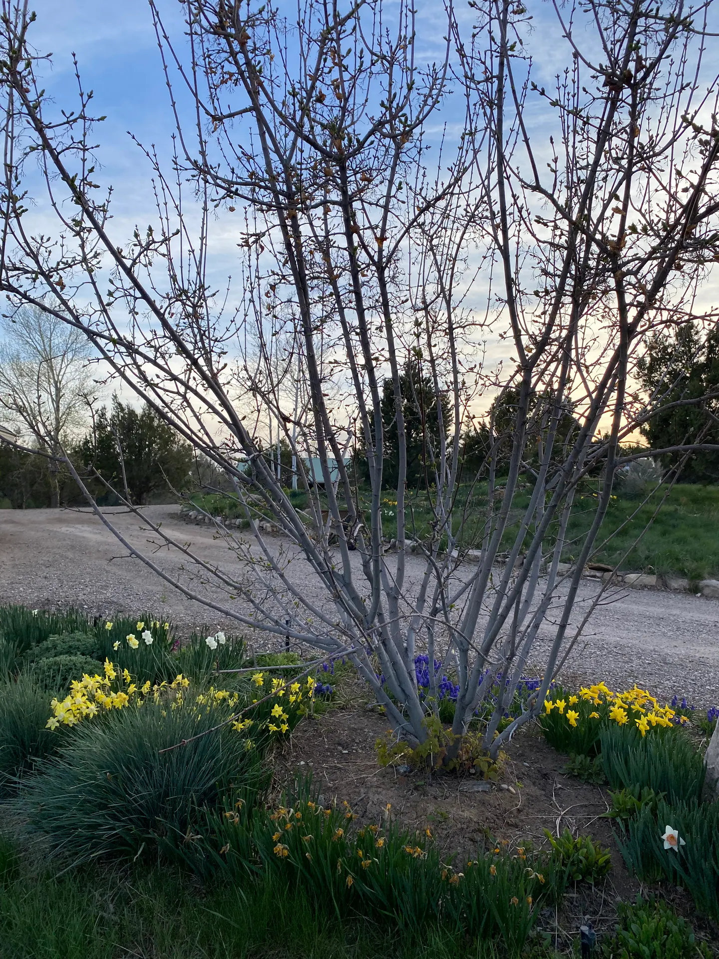The Edge of Quiet — Portfolio, image 6 of 21