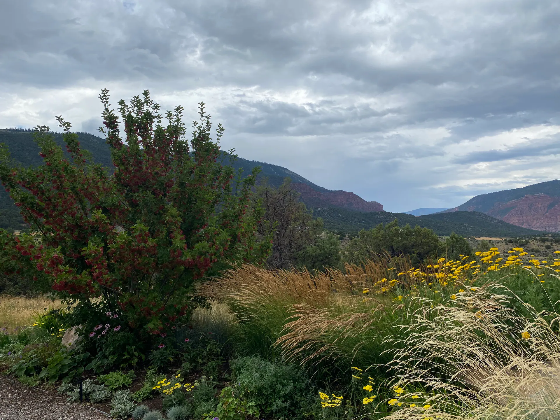 The Edge of Quiet — Portfolio, image 17 of 21