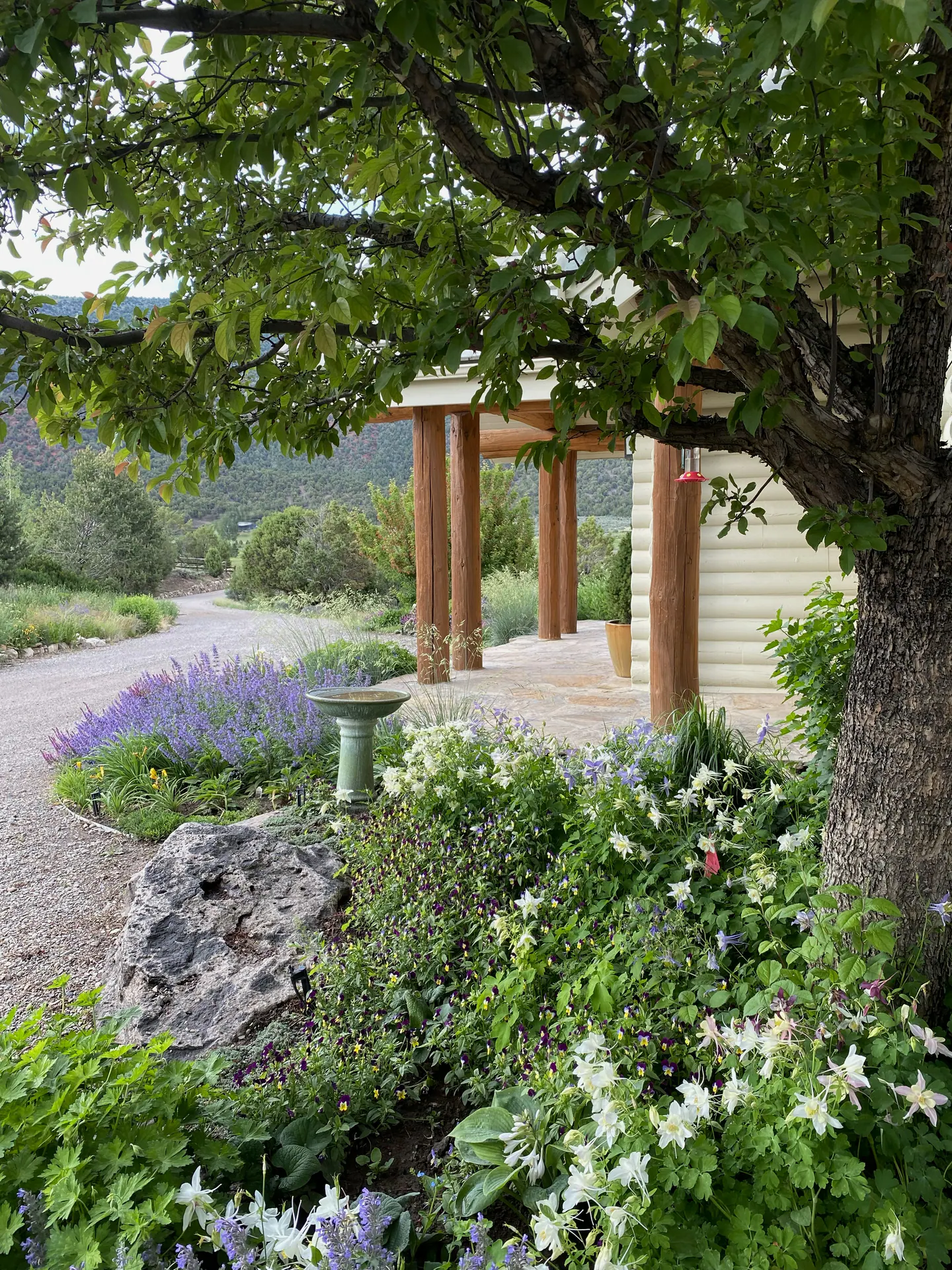 The Edge of Quiet — Ceres Landcare portfolio project
