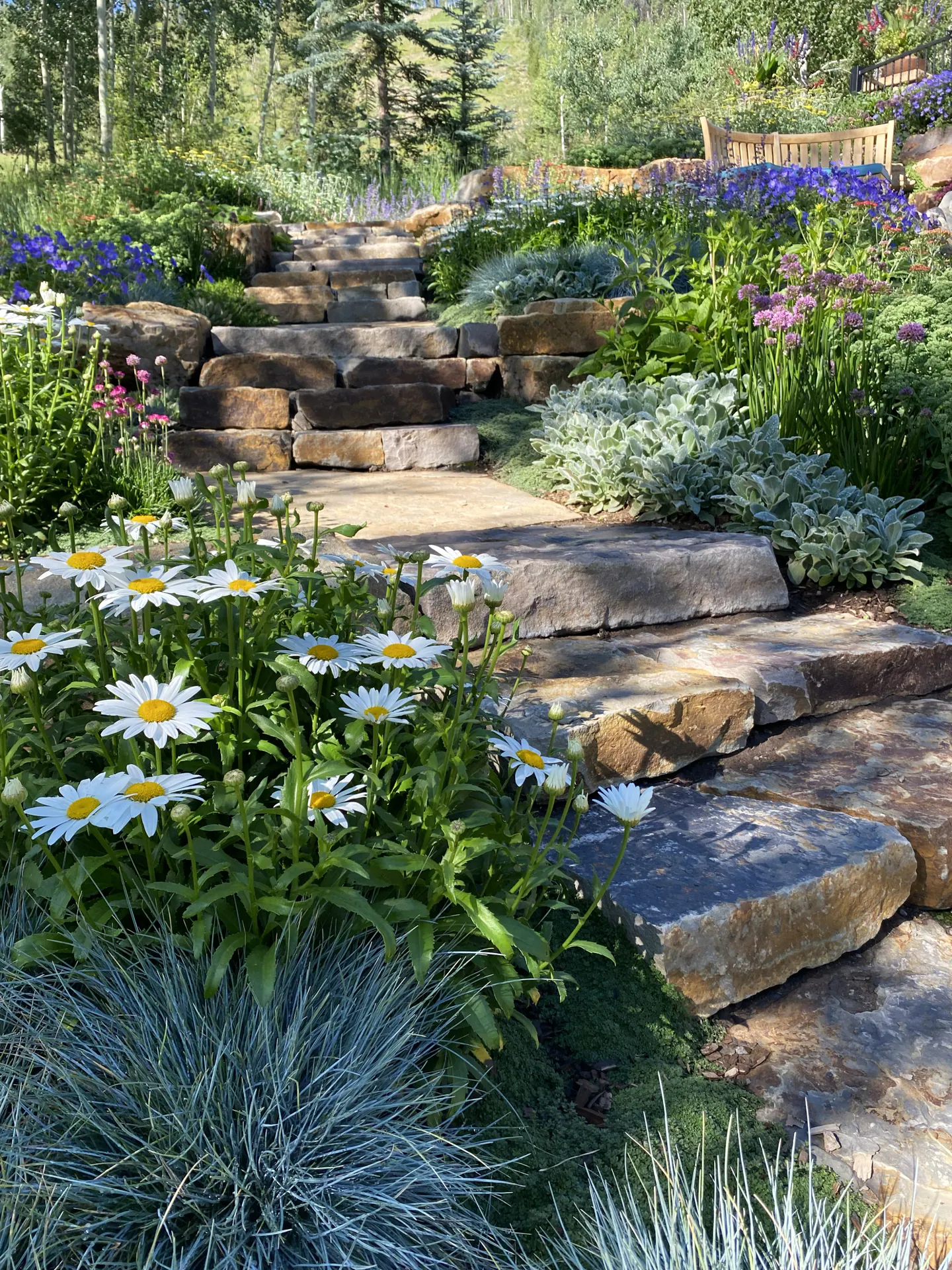 After — image 1 of 20