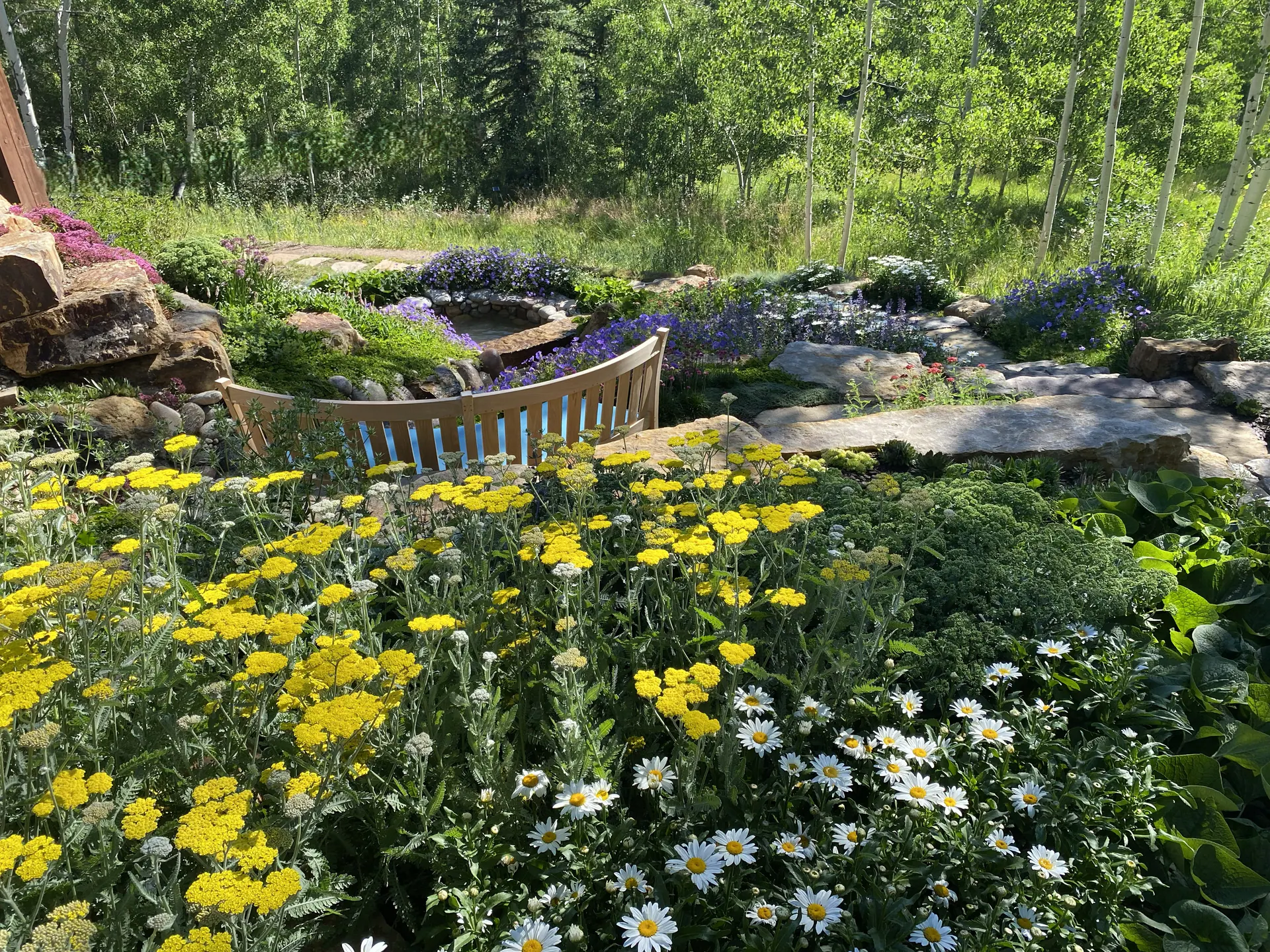 After — image 2 of 20