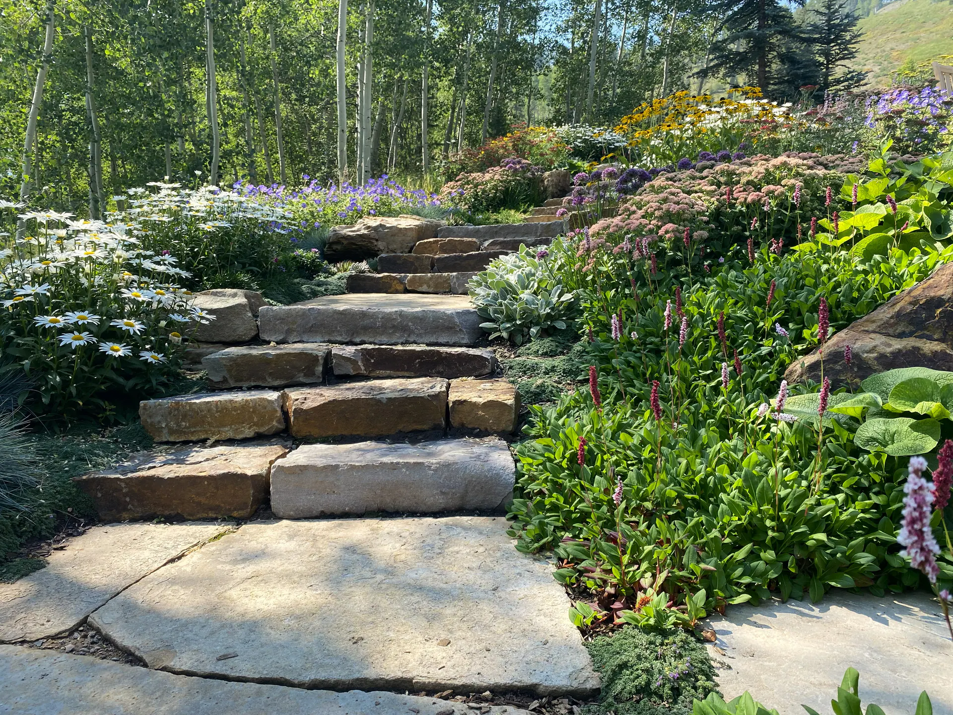 After — image 10 of 20
