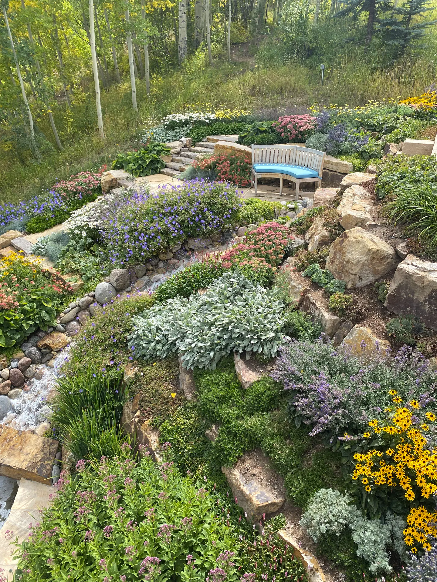 After — image 11 of 20