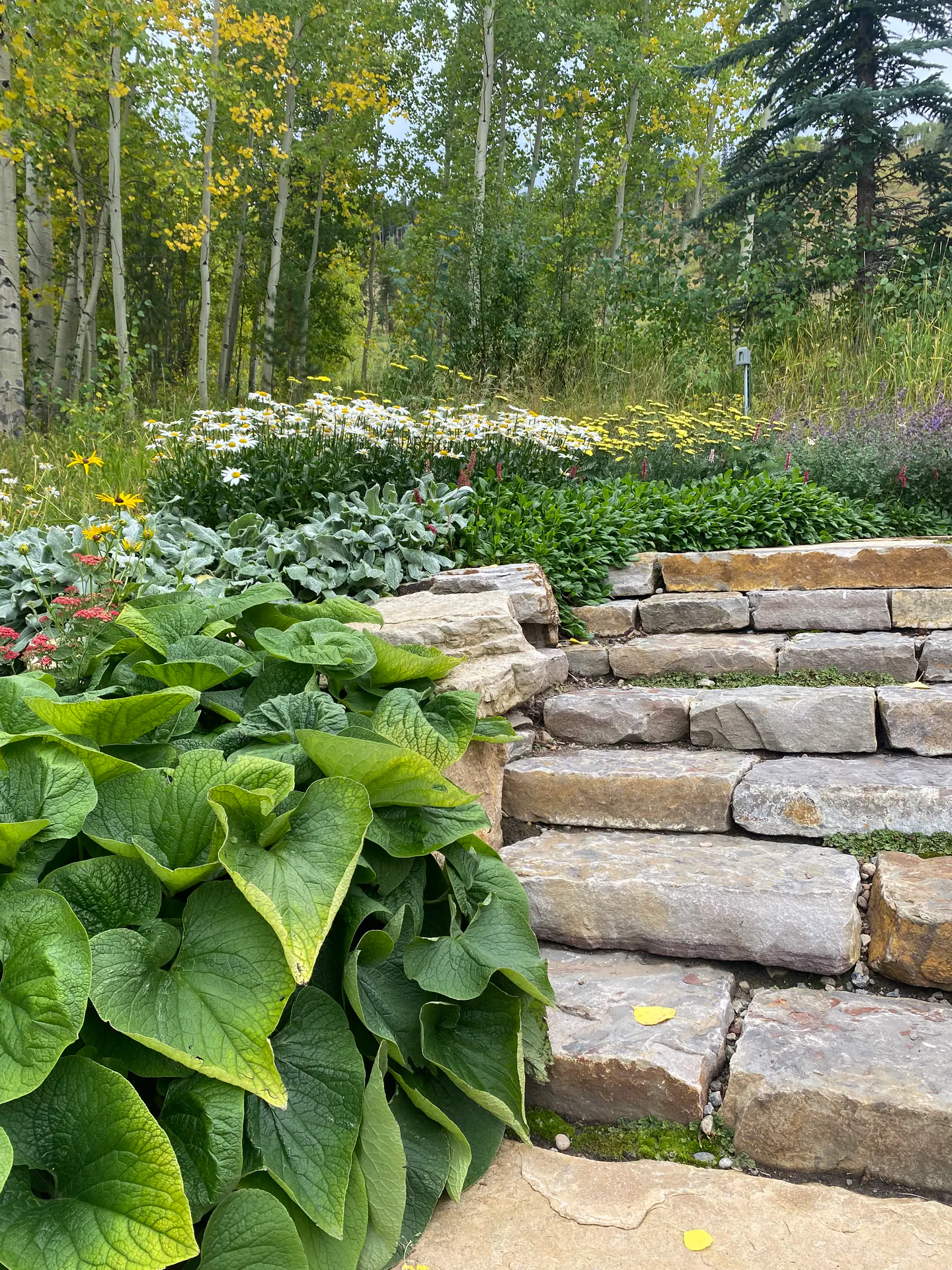 After — image 12 of 20