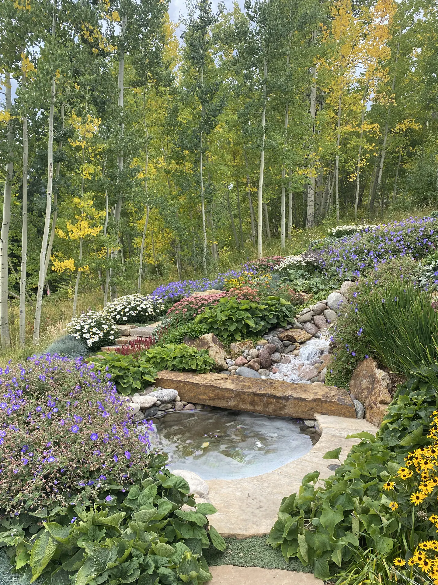After — image 14 of 20